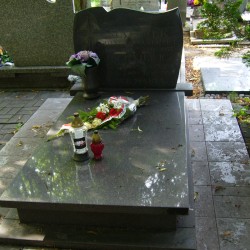 Źródło: https://elblag.grobonet.com/grobonet/start.php?id=detale&idg=5154011 [dostęp: 26.07.2026].
