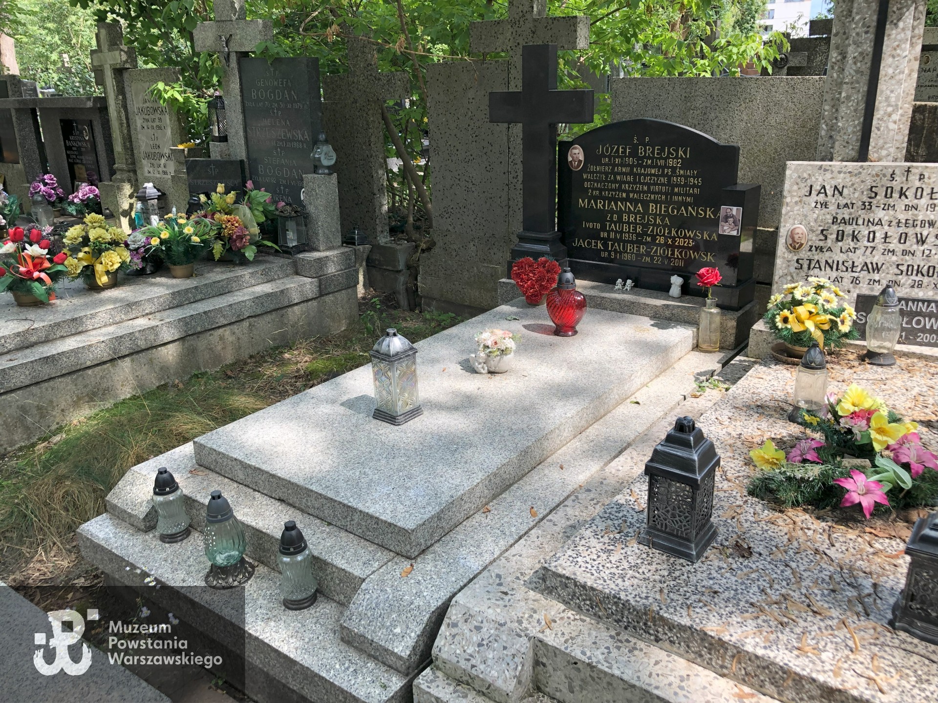 Źródło: Dorota Kotowska.