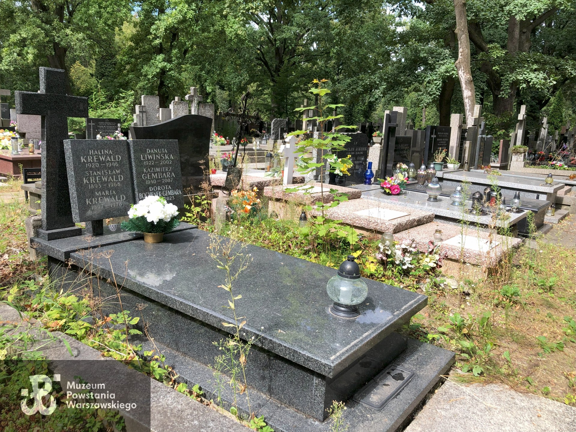 Źródło: Dorota Kotowska.