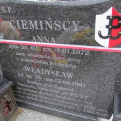 Źródło: https://grobonet.com/p/nadarzyn/3594/wladyslaw-cieminski-nadarzyn [dostęp: 9.09.2025].