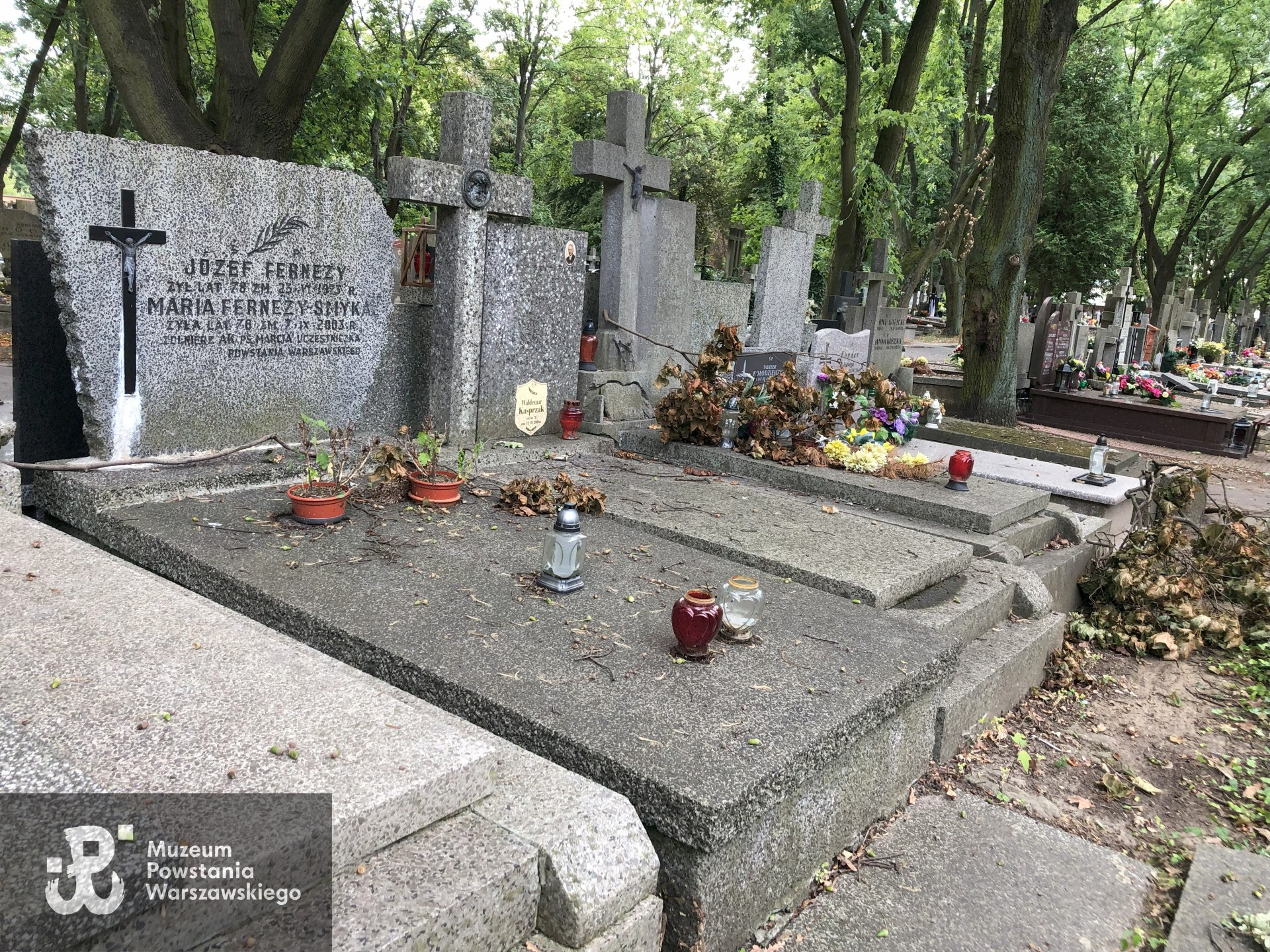 Źródło: Dorota Kotowska.