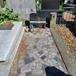 Źródło: VIII Liceum Ogólnokształcące im. Władysława IV w Warszawie.