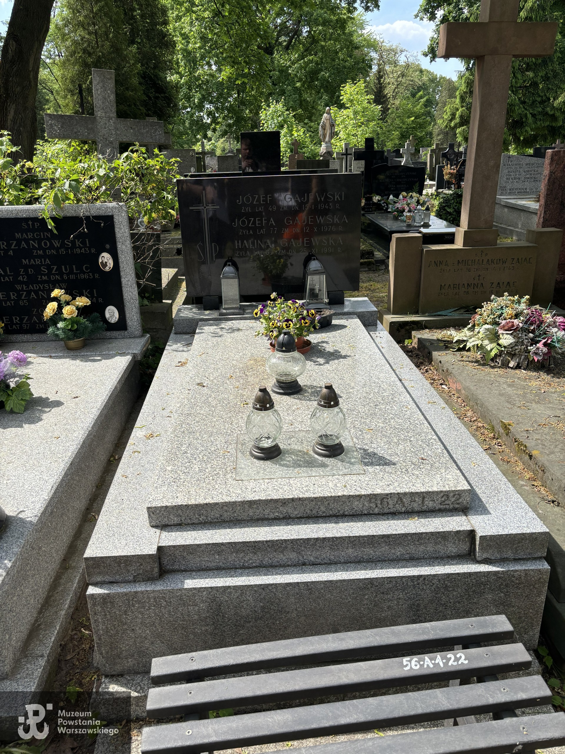 Źródło: VIII Liceum Ogólnokształcące im. Władysława IV w Warszawie.