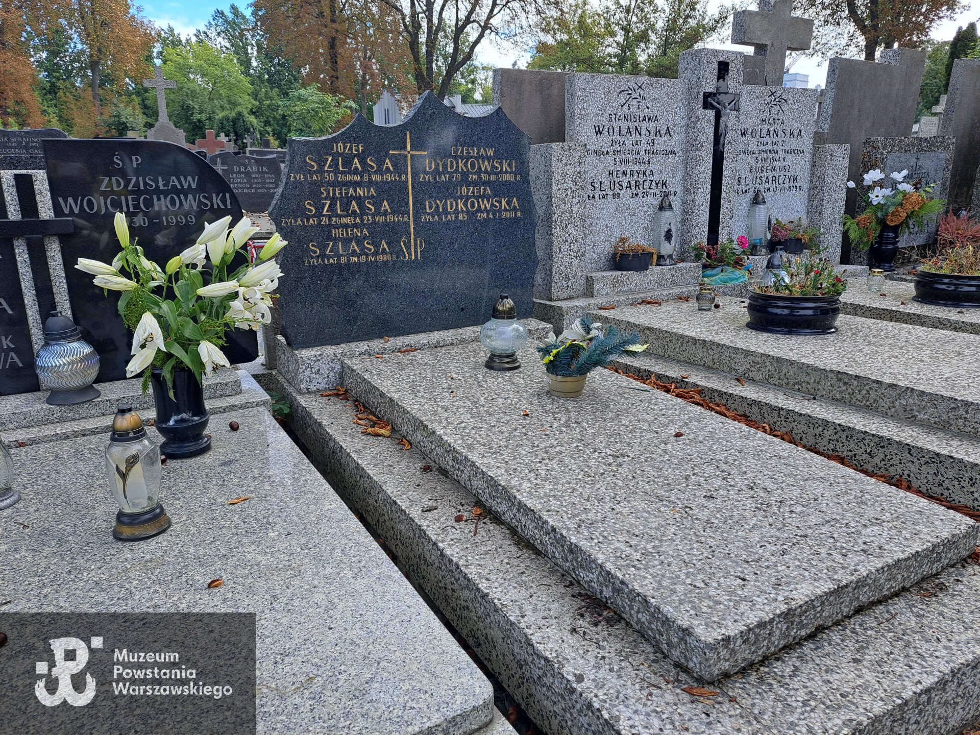 Źródło: Agnieszka Nowak.