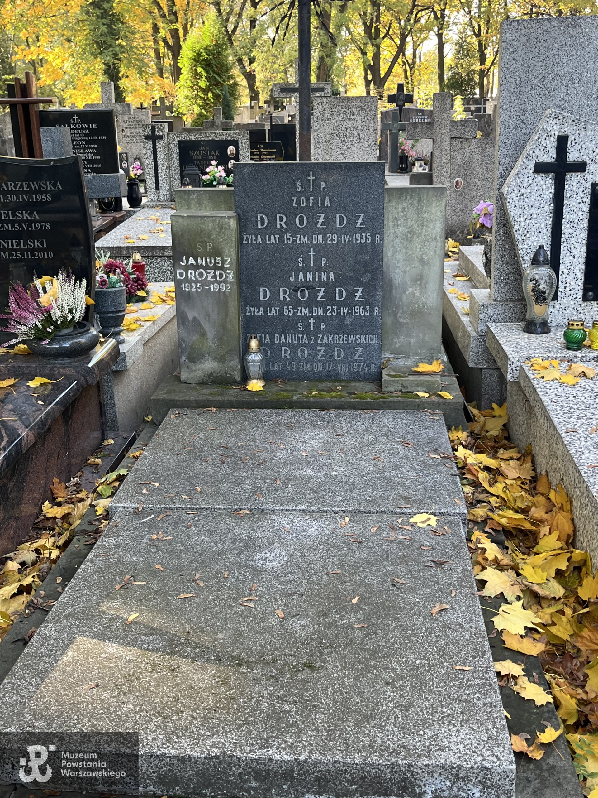 Źródło: Zespół Szkół nr 14 w Warszawie.