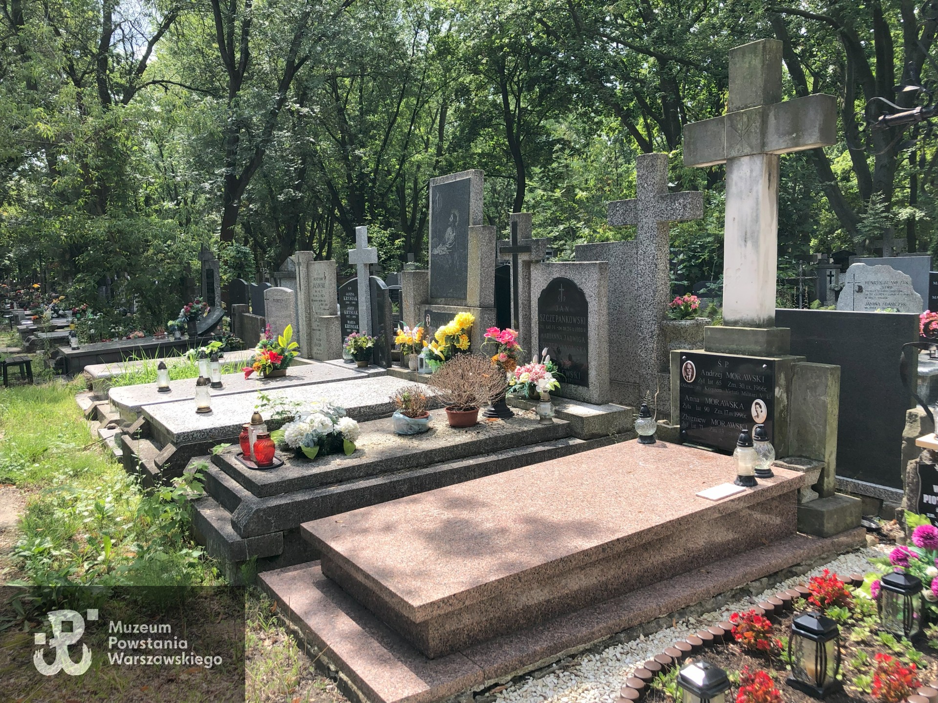 Źródło: Dorota Kotowska.