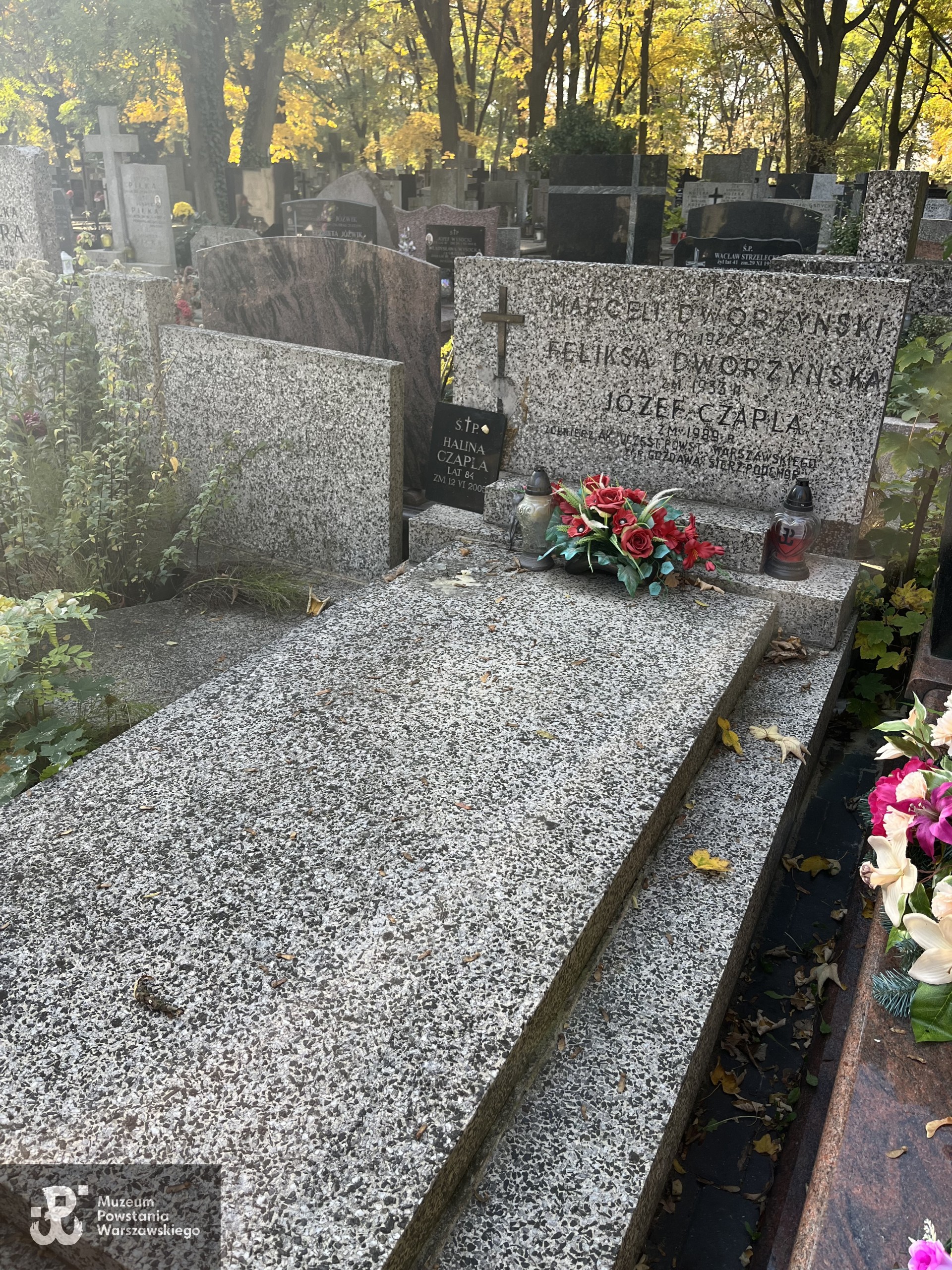 Źródło: Zespół Szkół nr 14 w Warszawie.