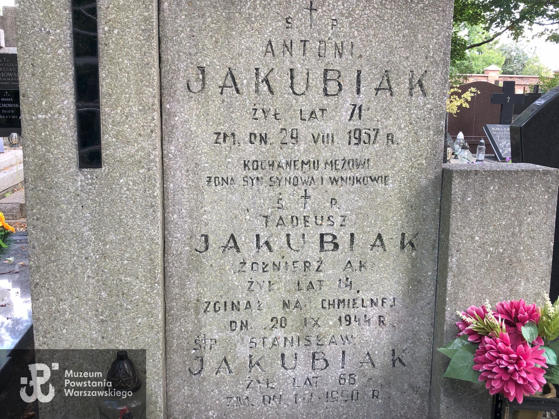 Źródło: Dorota Kotowska.