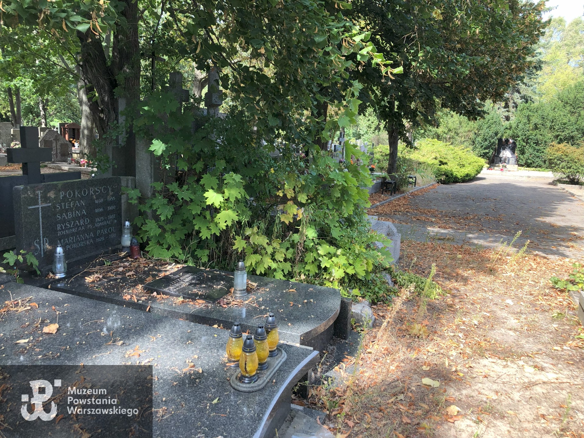 Źródło: Dorota Kotowska, Agnieszka Nowak.