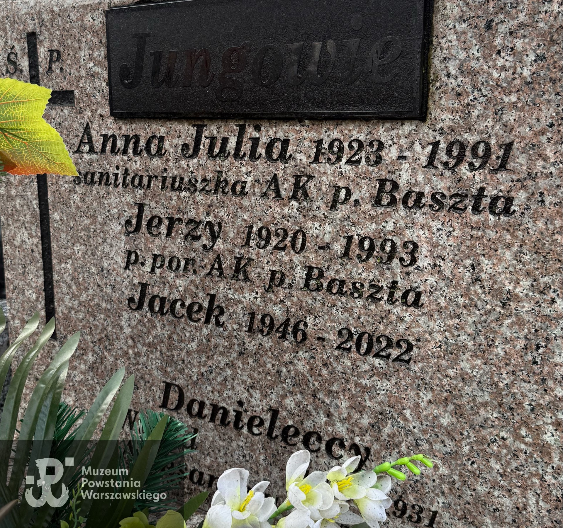 Źródło: Aneta Wyciszkiewicz.