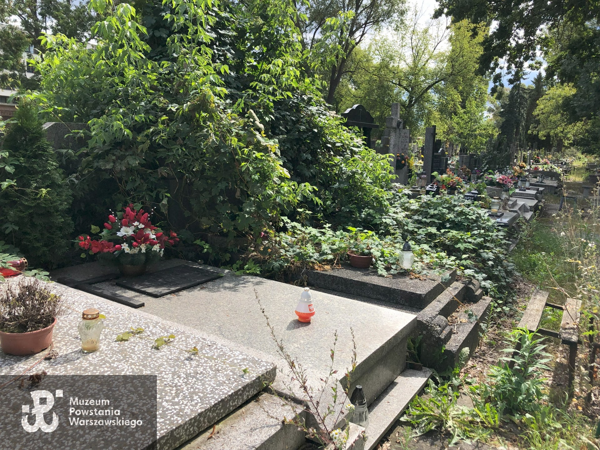 Źródło: Dorota Kotowska.