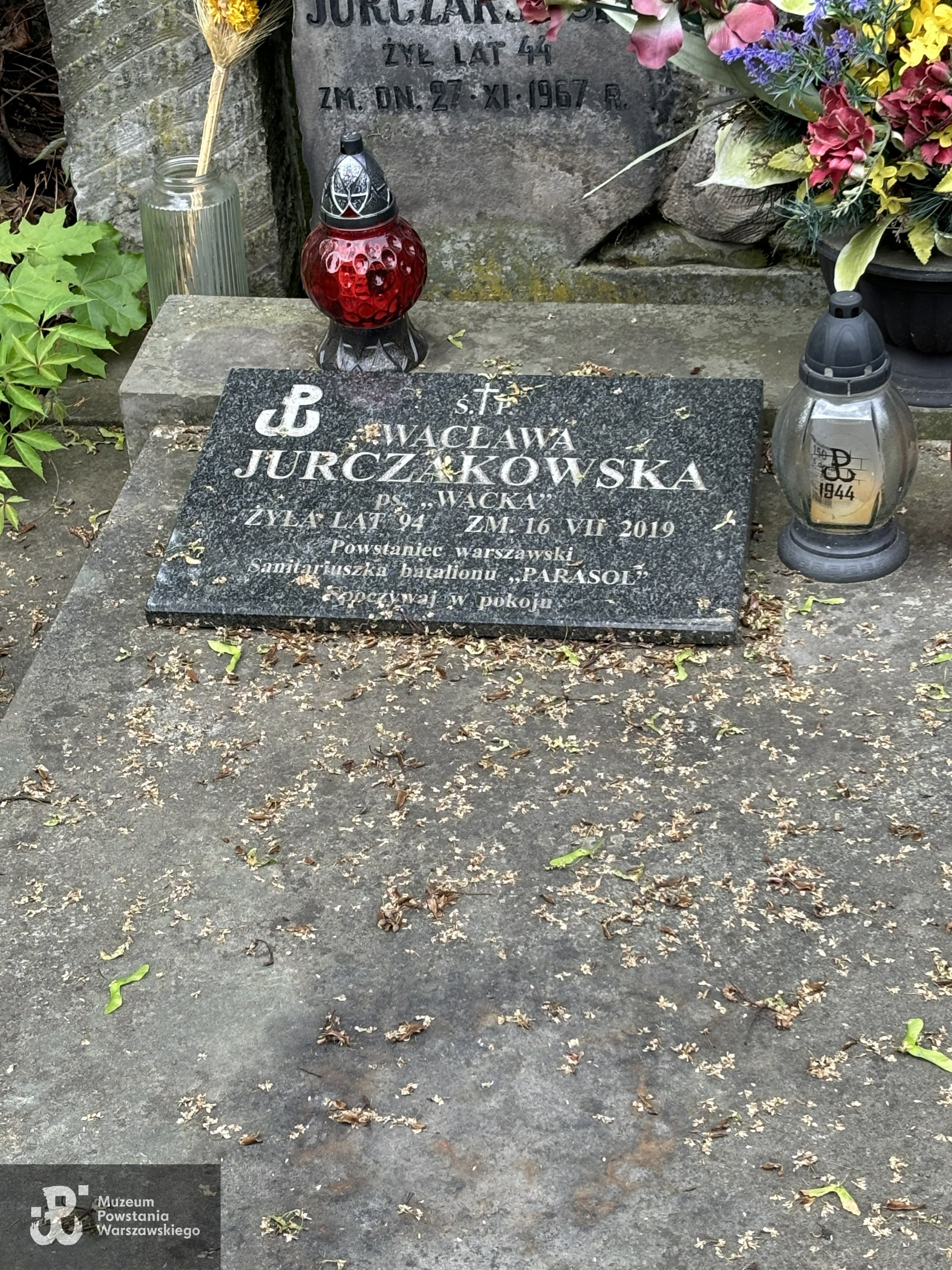 Źródło: VIII Liceum Ogólnokształcące im. Władysława IV w Warszawie.