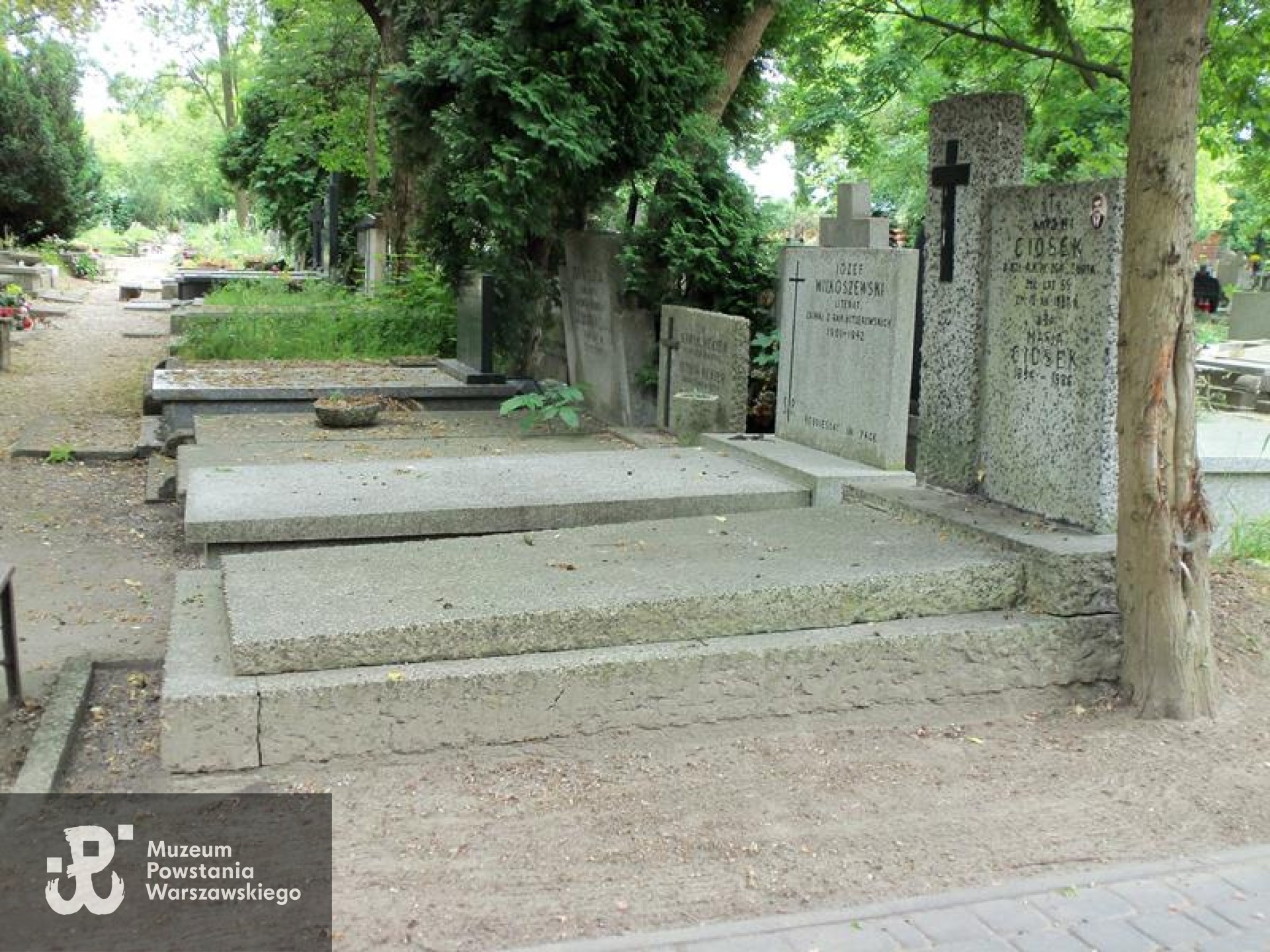 Źródło: https://cmentarze.um.warszawa.pl/pomnik.aspx?pom_id=33591 [dostęp: 11.09.2025].