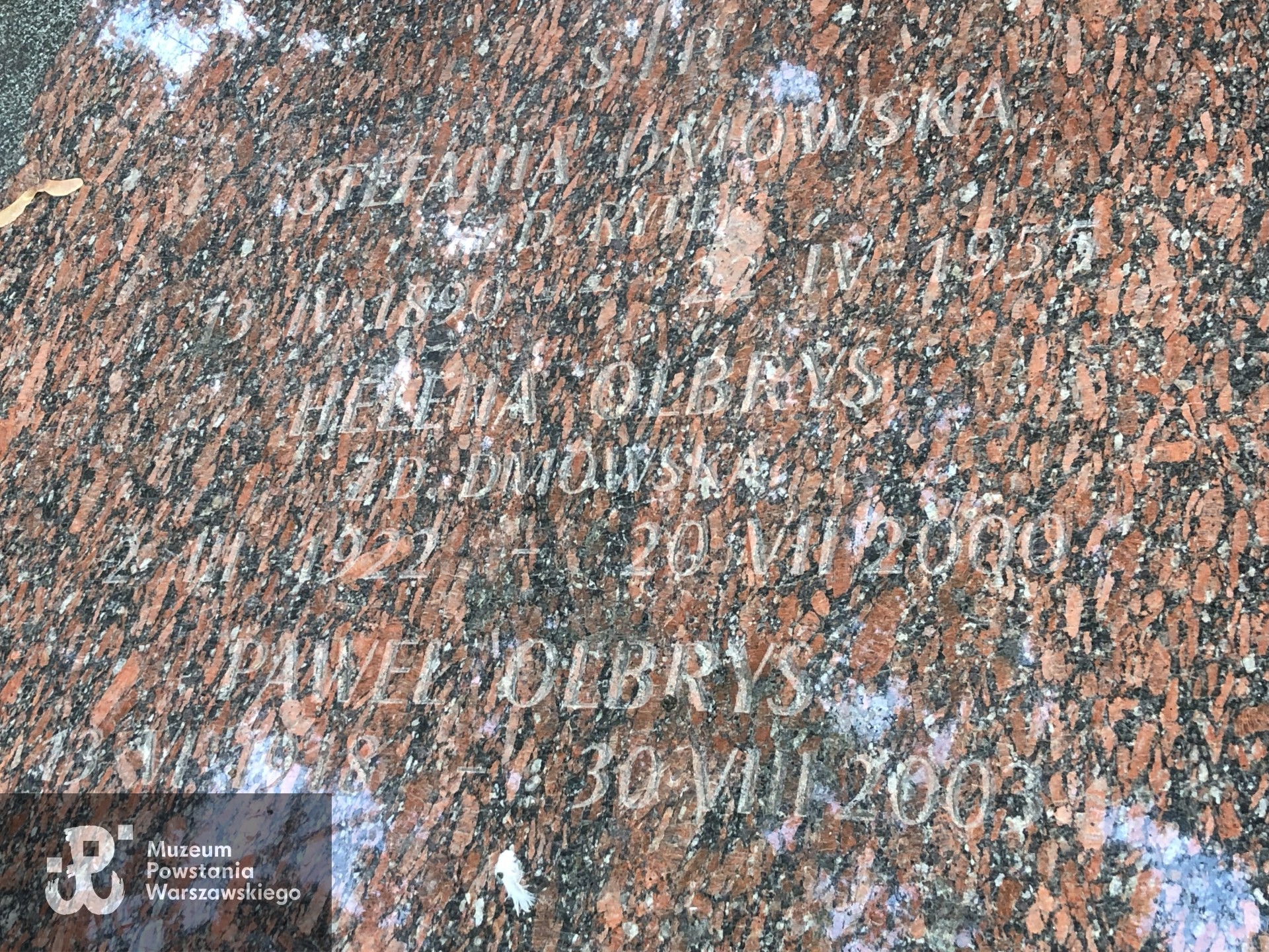 Źródło: Dorota Kotowska.