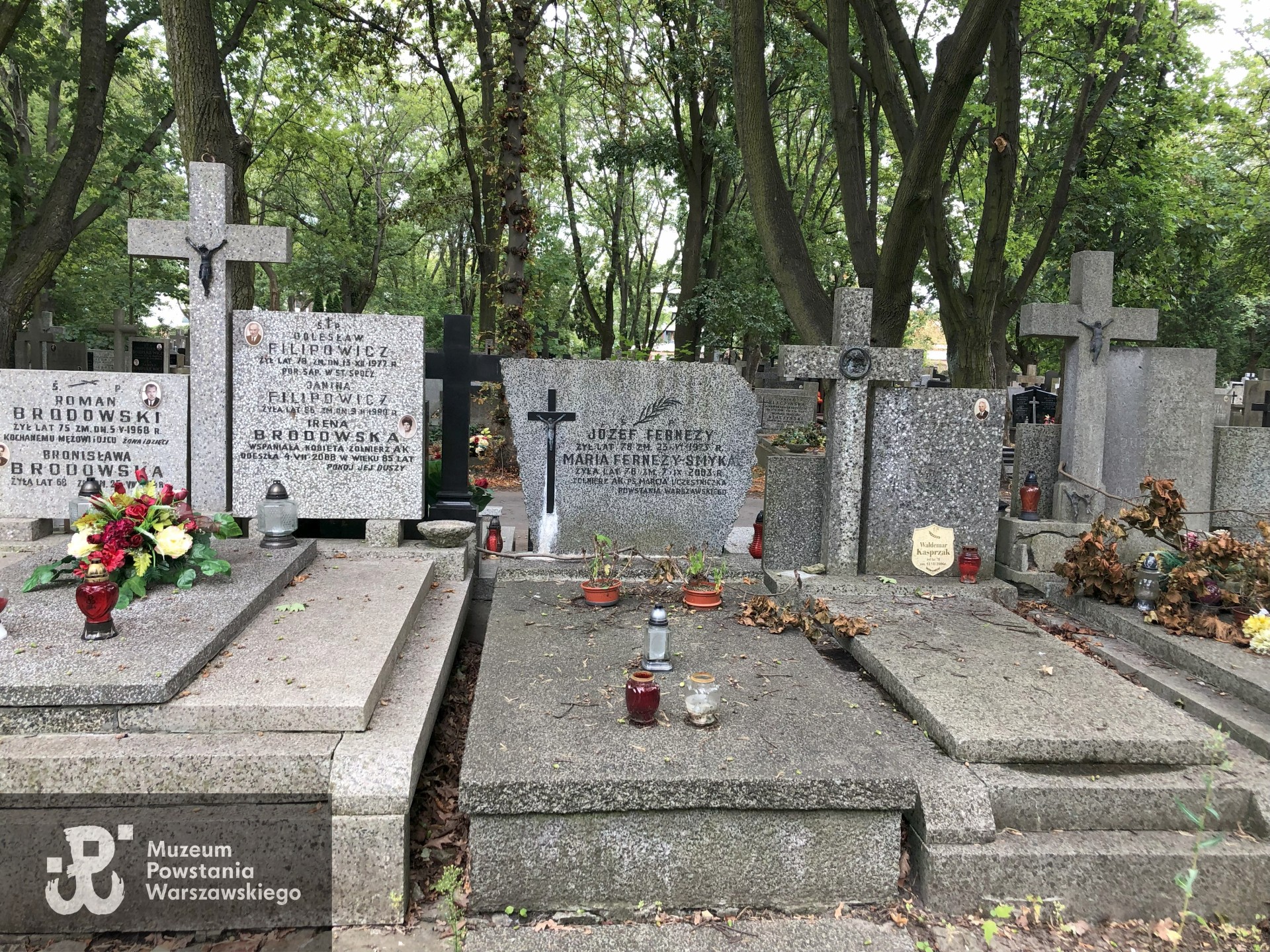 Źródło: Dorota Kotowska, Agnieszka Nowak.