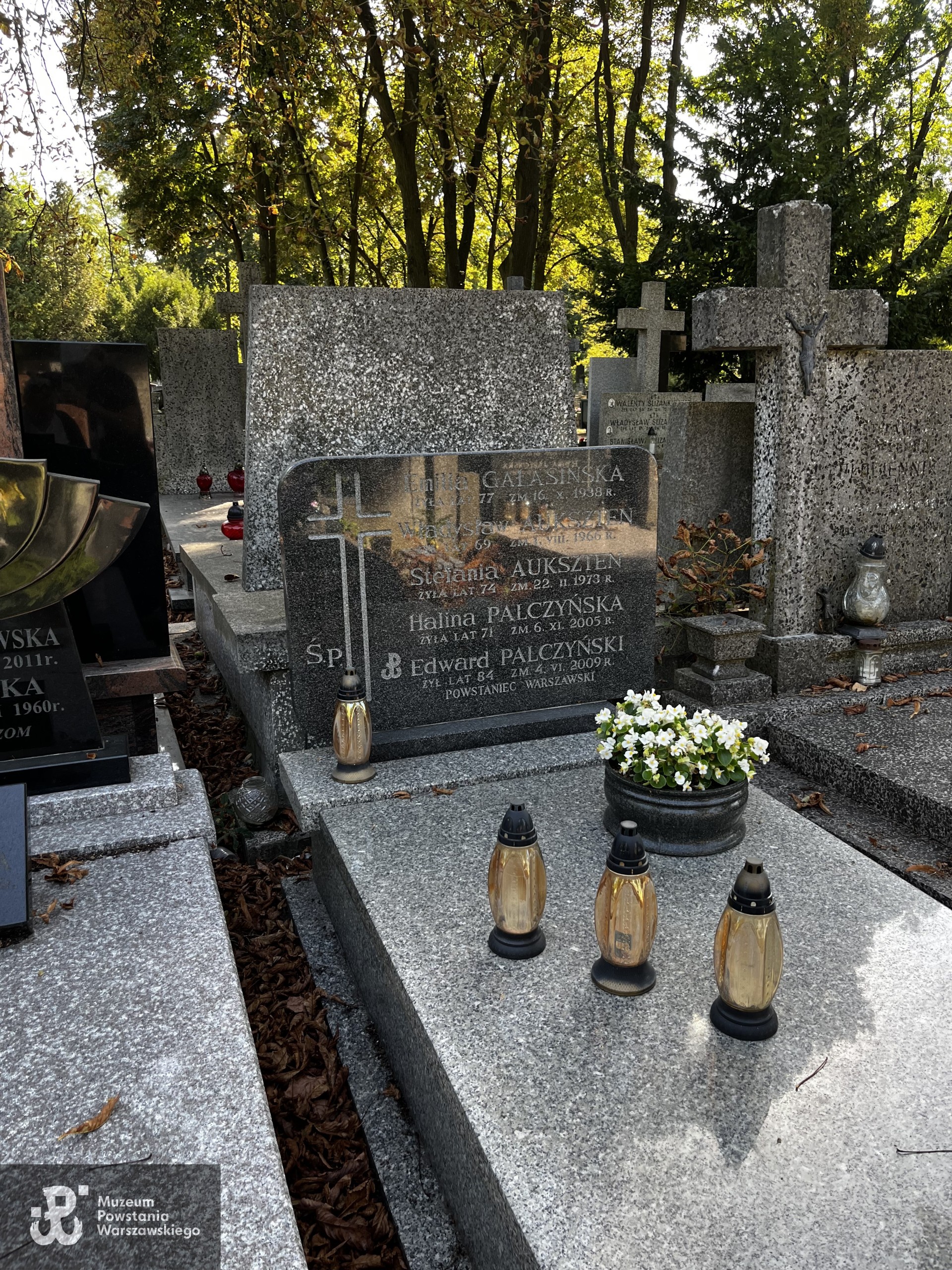 Źródło: Zespół Szkół nr 14 w Warszawie.