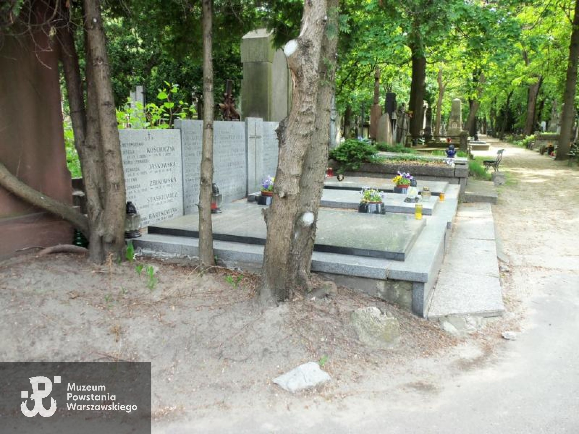 Źródło: https://cmentarze.um.warszawa.pl/pomnik.aspx?pom_id=16177 [dostęp: 07.01.2026].