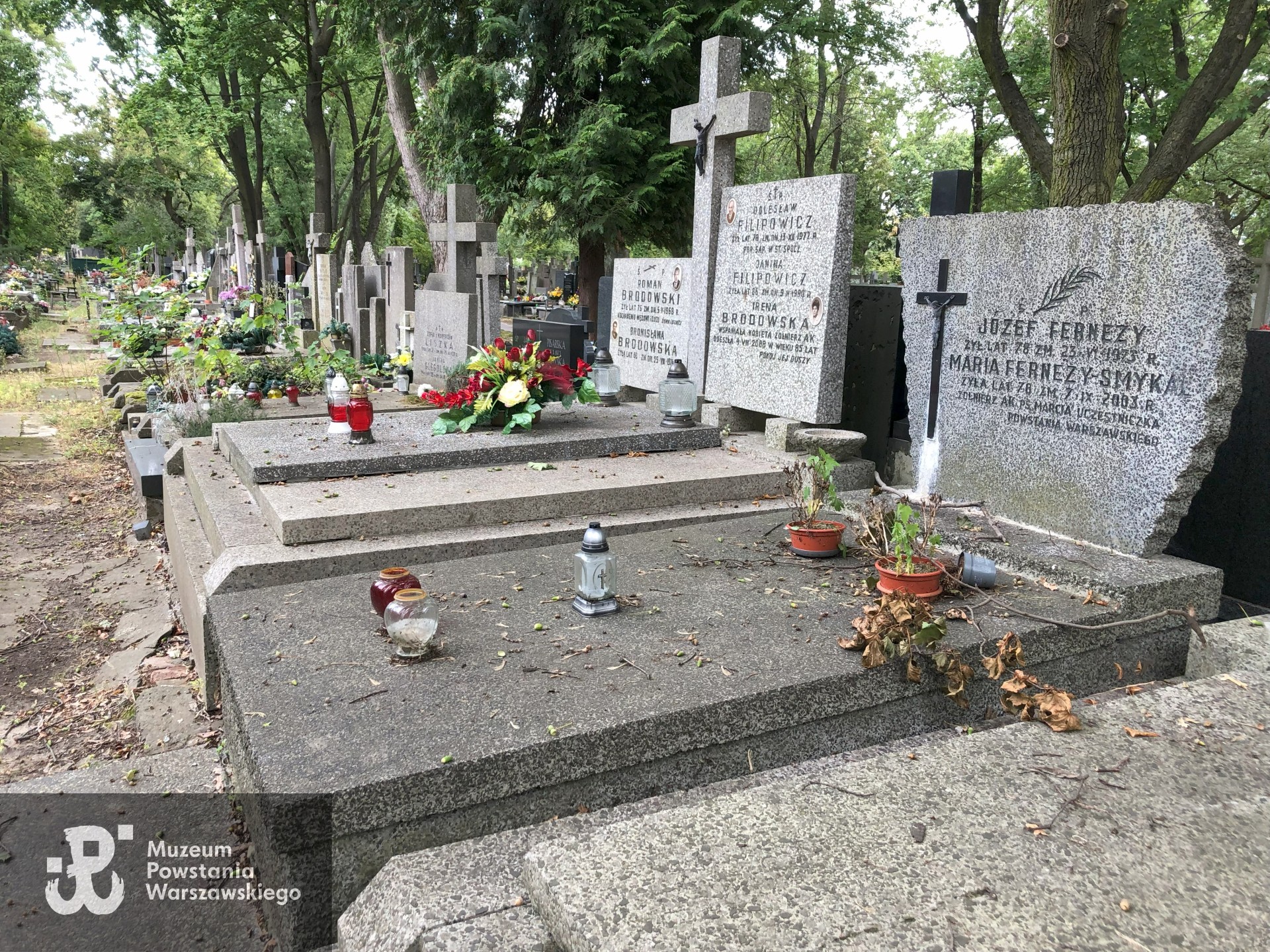 Źródło: Dorota Kotowska.