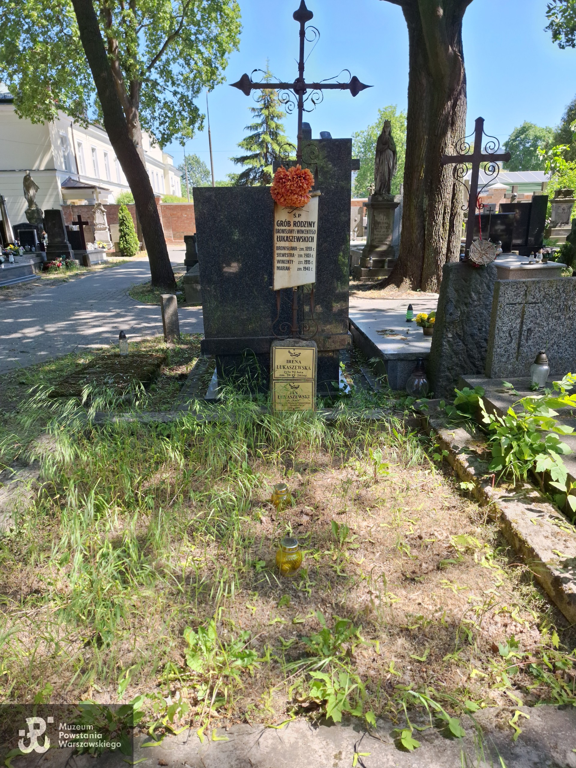 Źródło: VIII Liceum Ogólnokształcące im. Władysława IV w Warszawie.