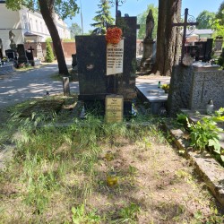 Źródło: VIII Liceum Ogólnokształcące im. Władysława IV w Warszawie.