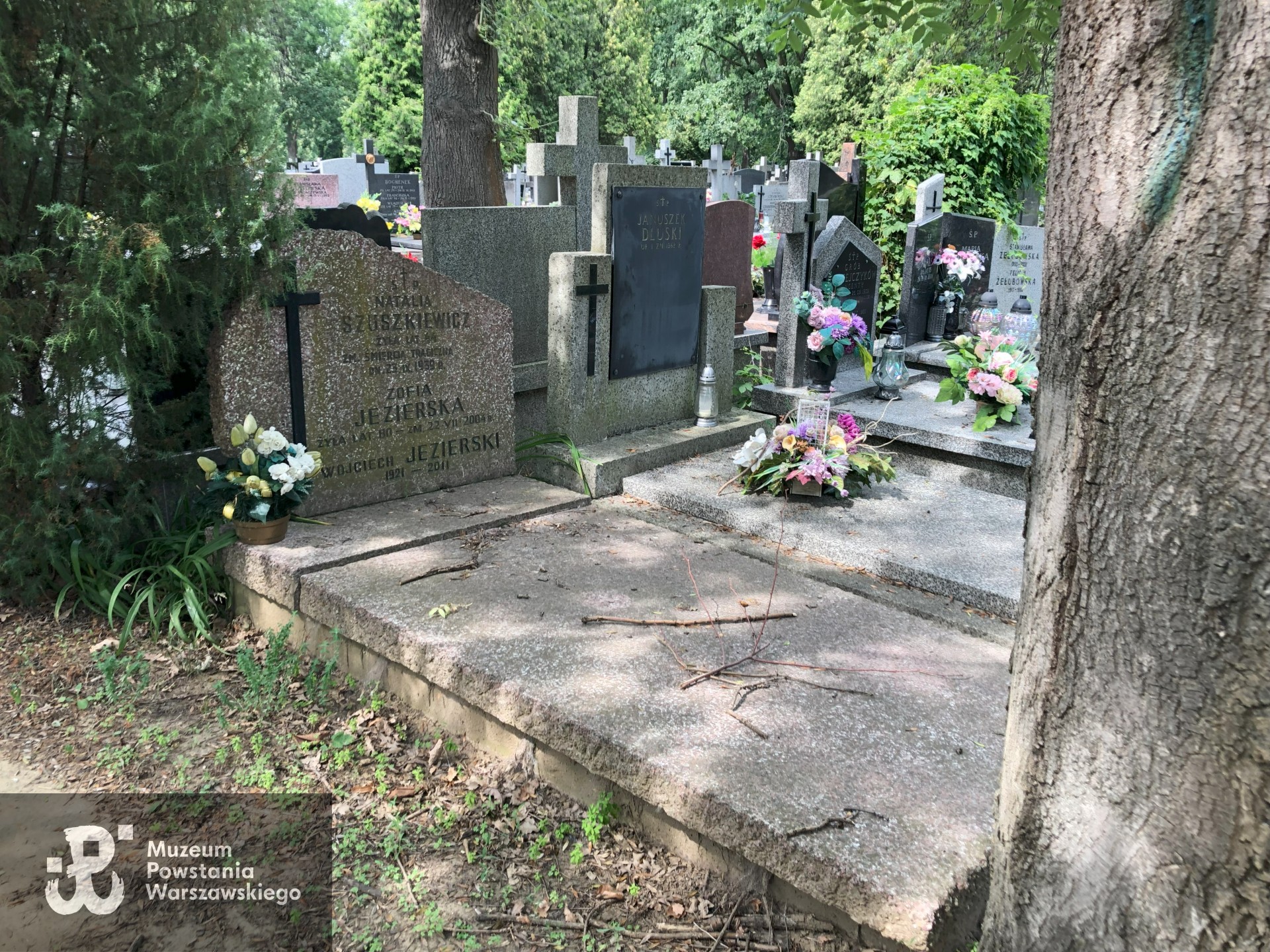 Źródło: Dorota Kotowska, Agnieszka Nowak.