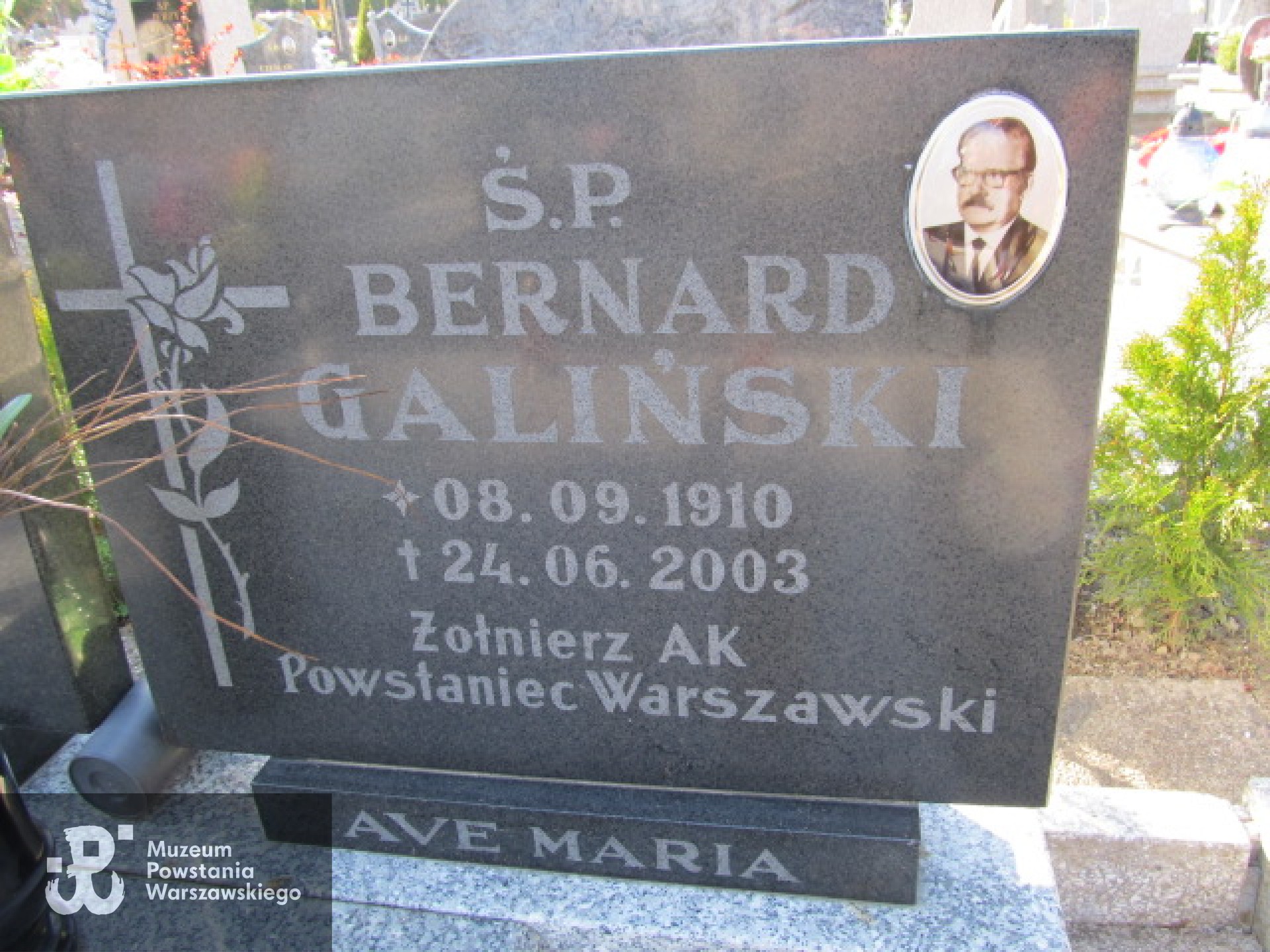 Źródło: https://malbork.grobonet.com/grobonet/start.php?id=detale&idg=8107 [dostęp: 18.03.2026].