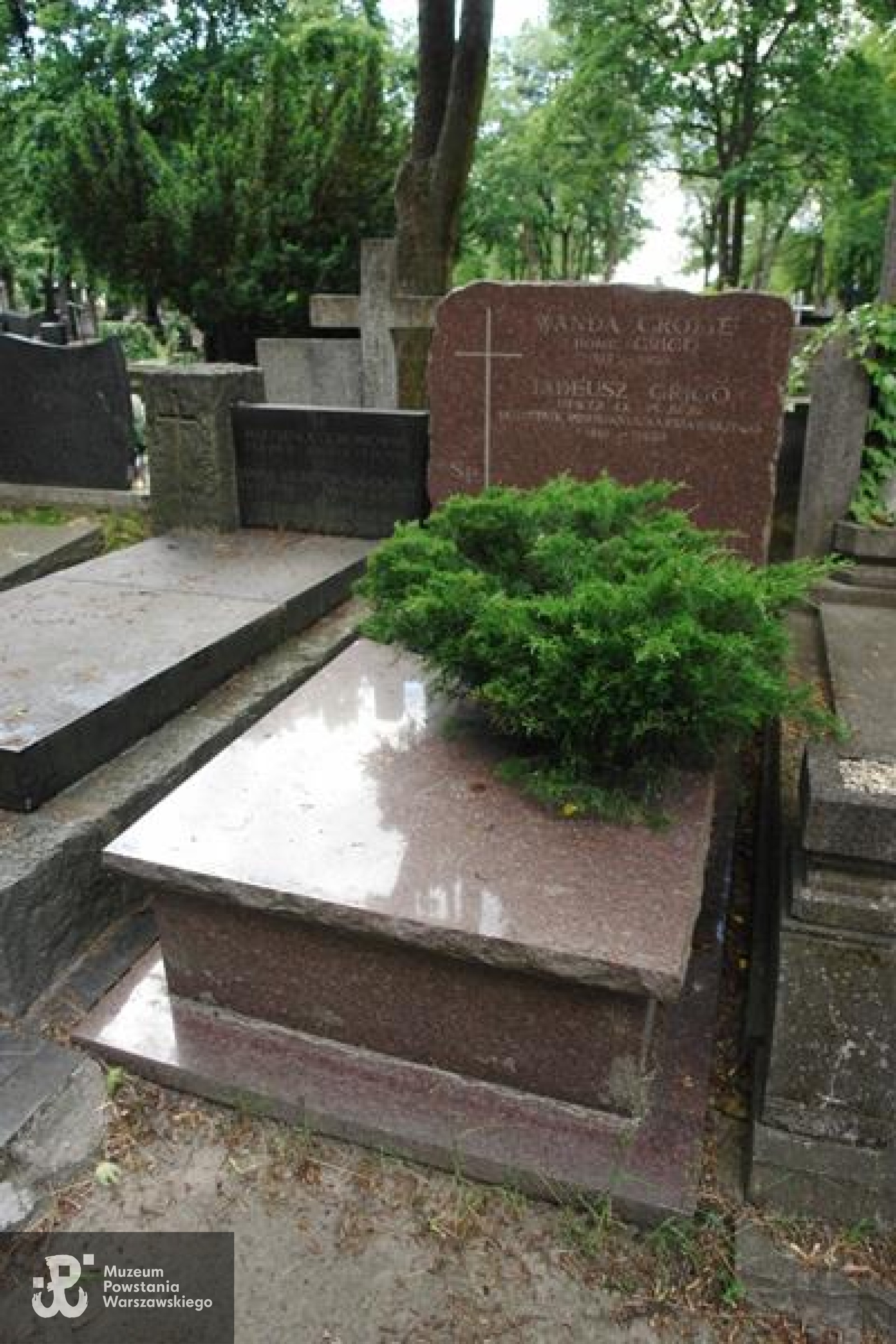 Źródło: https://cmentarze.um.warszawa.pl/pomnik.aspx?pom_id=36376 [dostęp: 19.06.2026].