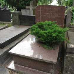 Źródło: https://cmentarze.um.warszawa.pl/pomnik.aspx?pom_id=36376 [dostęp: 19.06.2026].