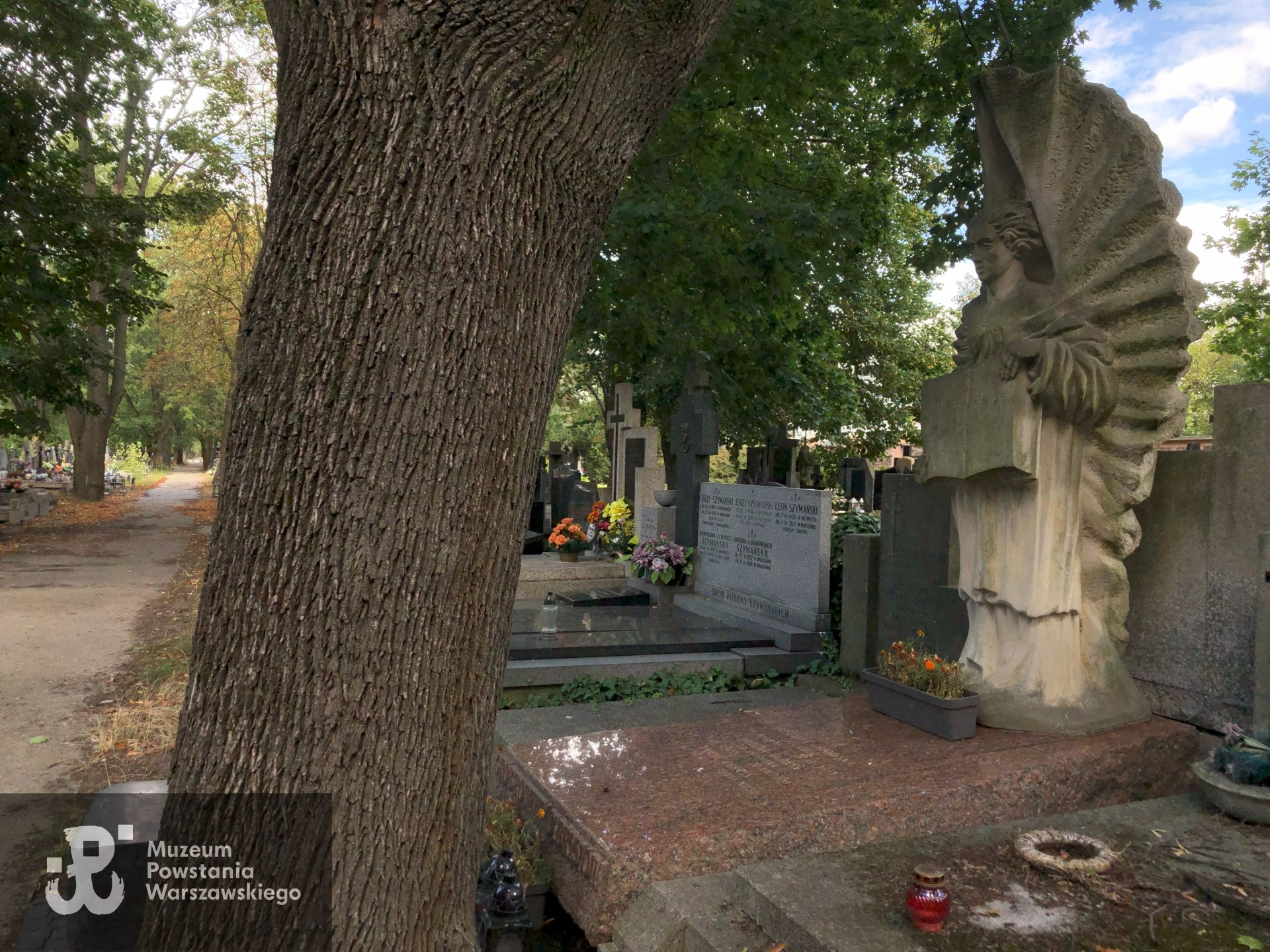 Źródło: Dorota Kotowska.