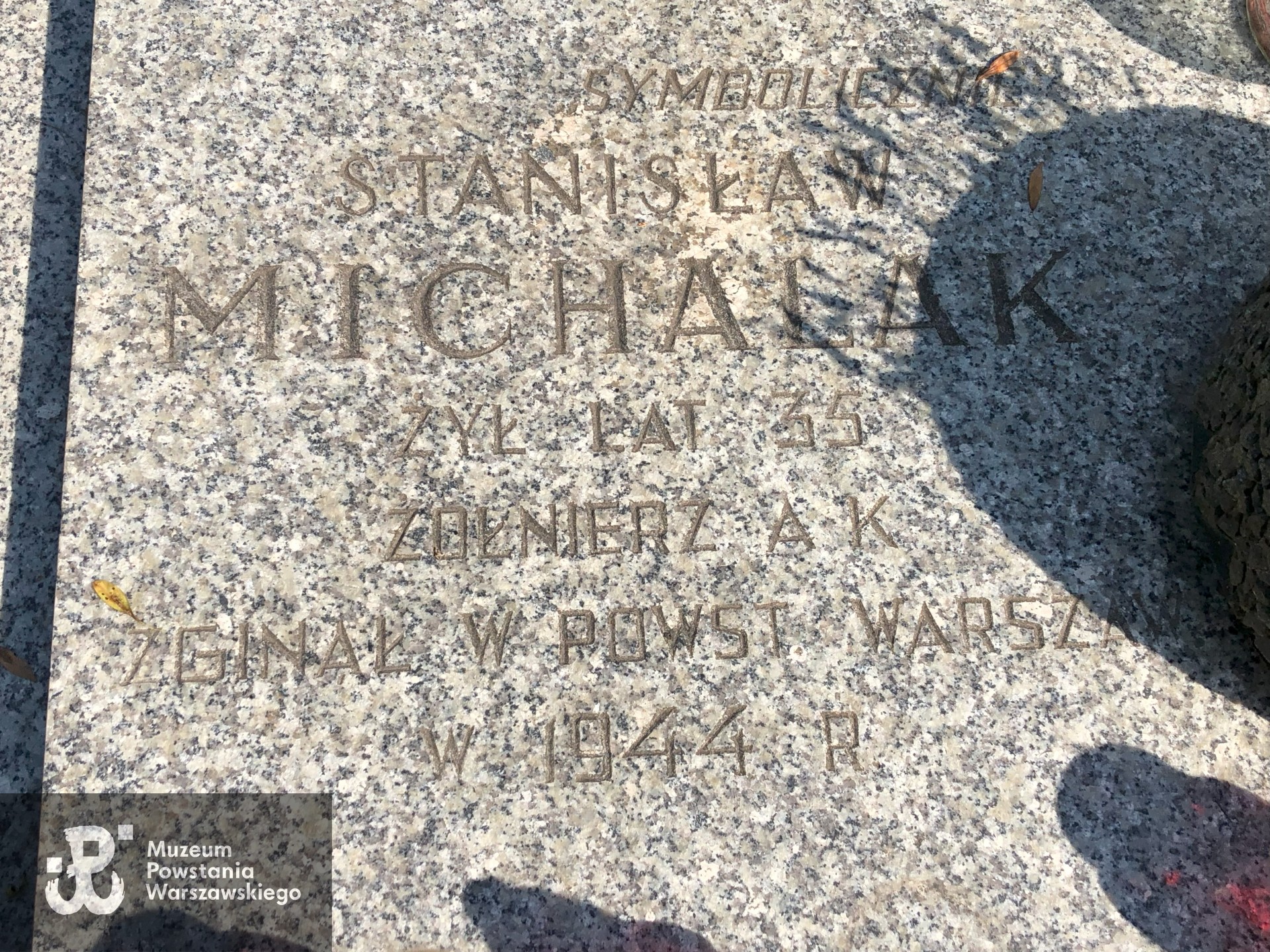 Źródło: Dorota Kotowska.