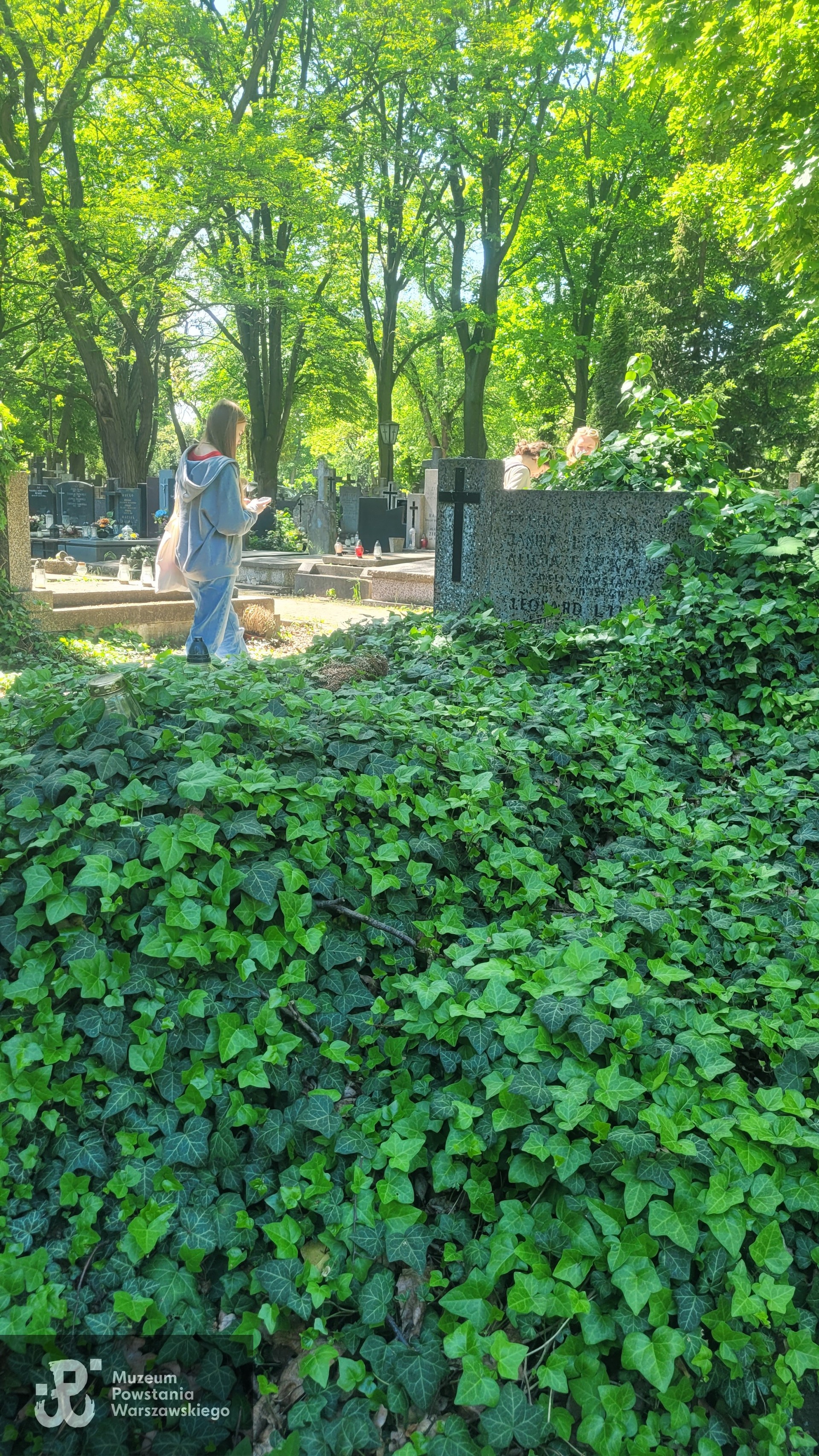 Źródło: VIII Liceum Ogólnokształcące im. Władysława IV w Warszawie.