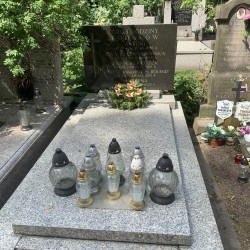 Źródło: VIII Liceum Ogólnokształcące im. Władysława IV w Warszawie.