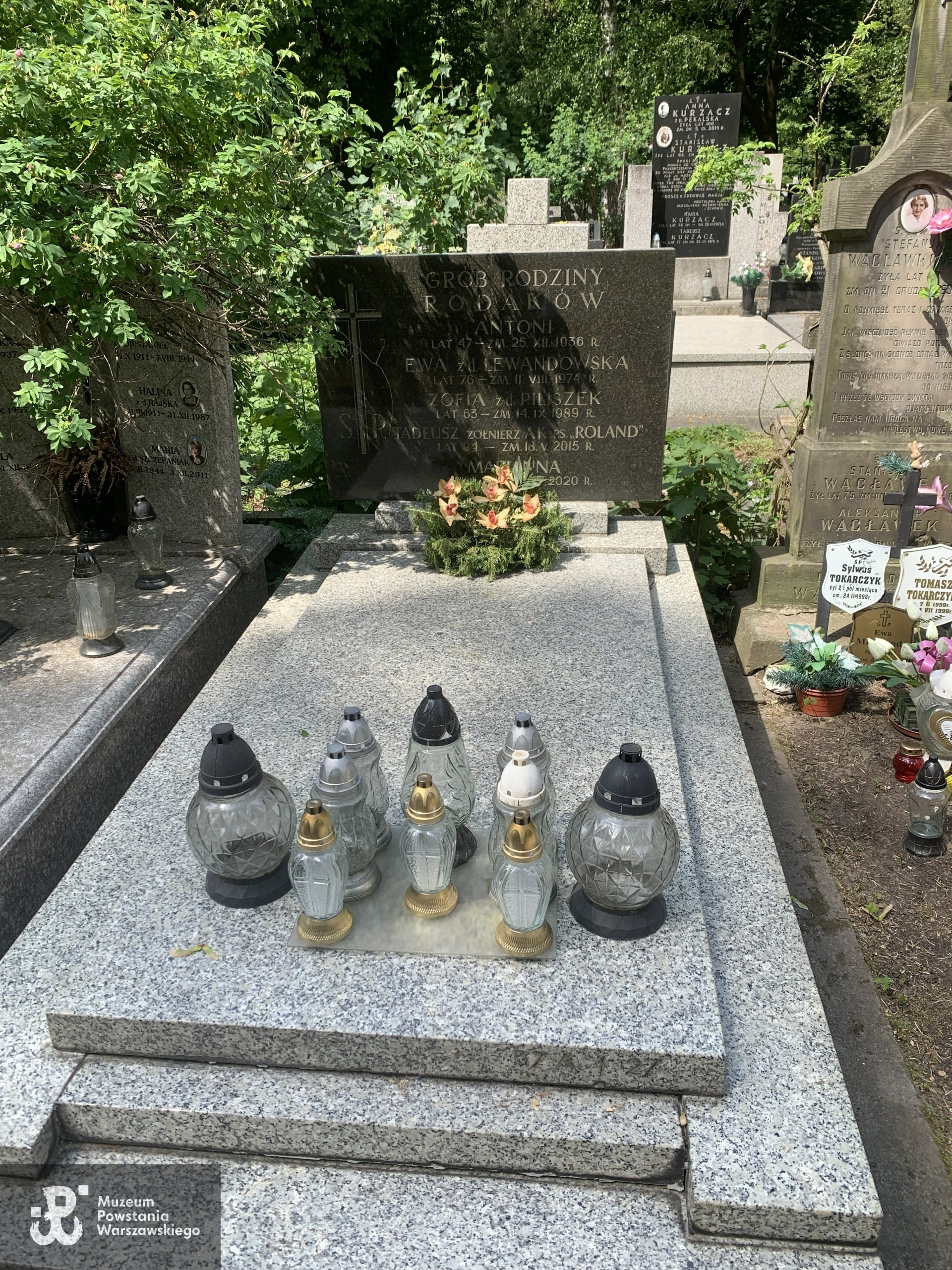 Źródło: VIII Liceum Ogólnokształcące im. Władysława IV w Warszawie.