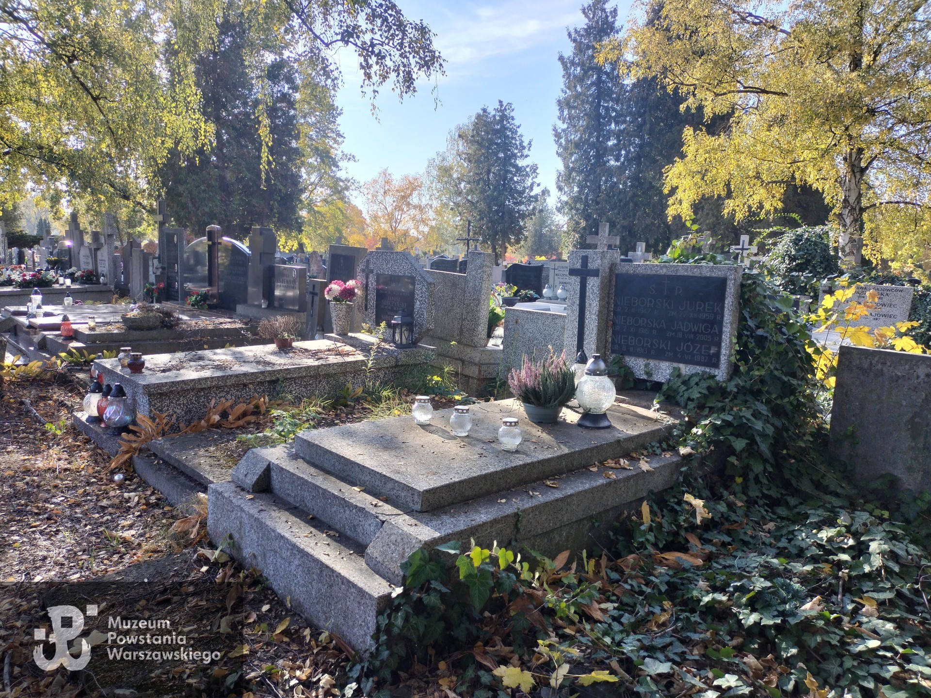 Źródło: Zespół Szkół nr 14 w Warszawie.