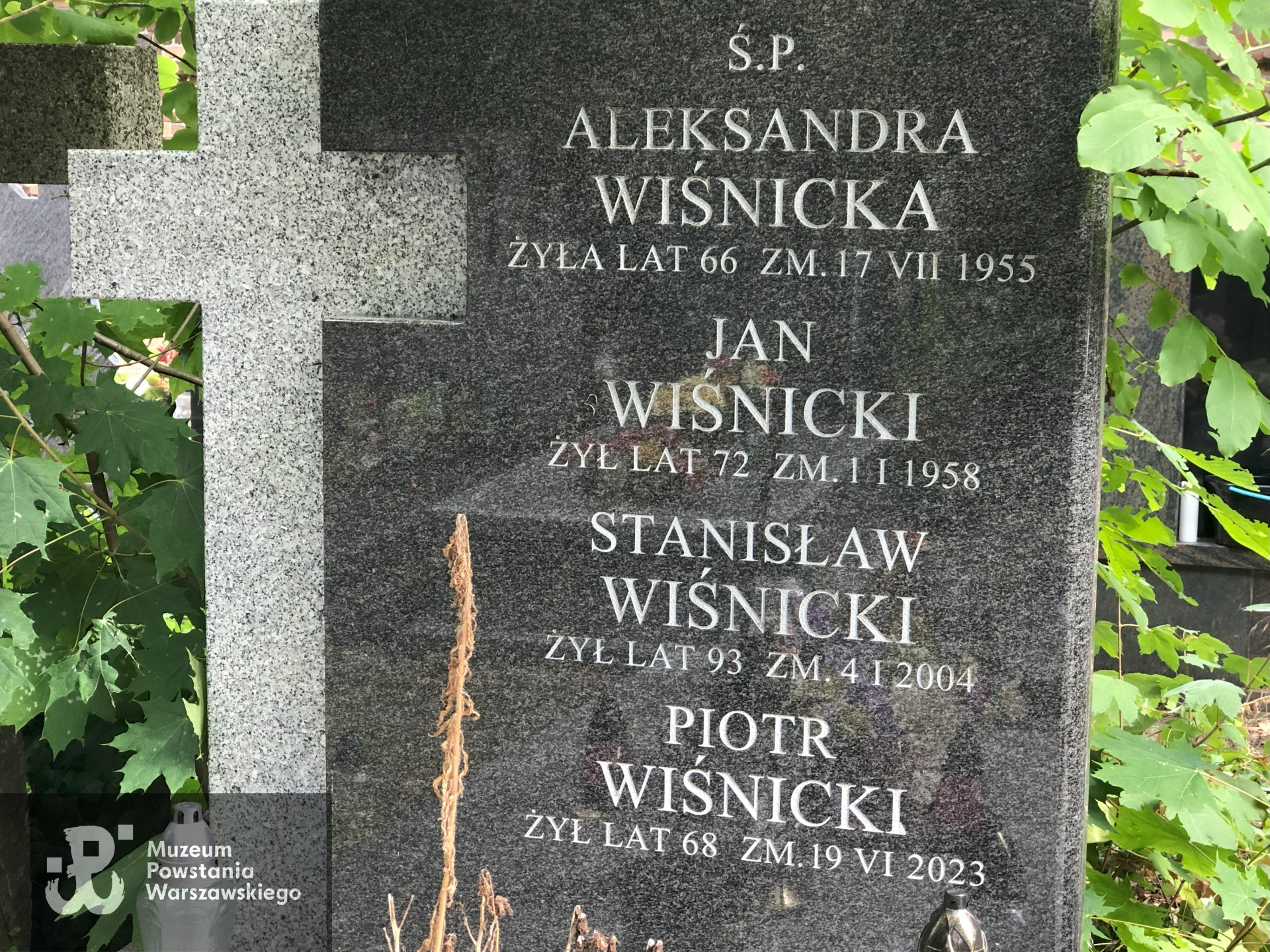 Źródło: Dorota Kotowska.