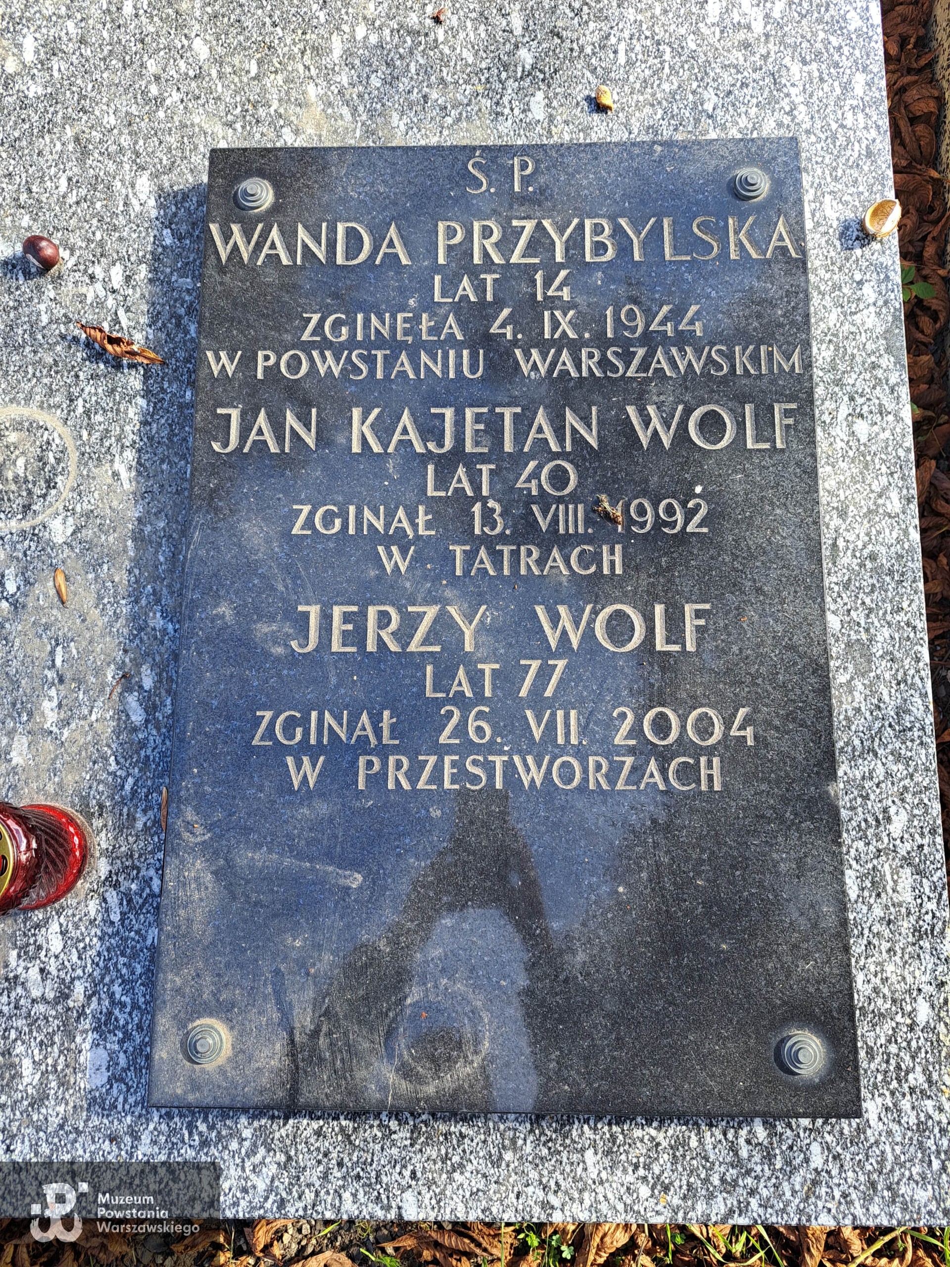 Źródło: Agnieszka Nowak.