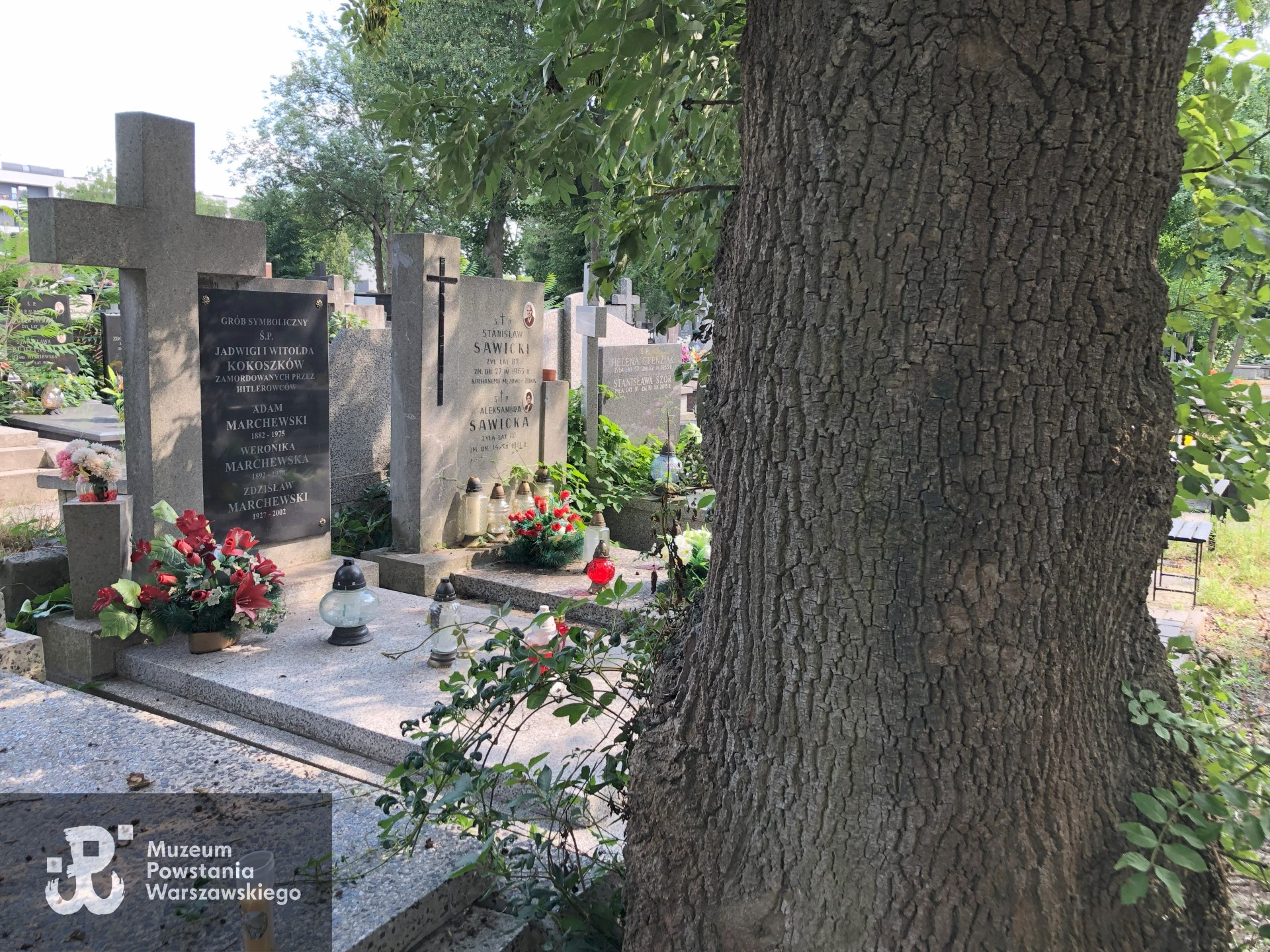 Źródło: Dorota Kotowska.