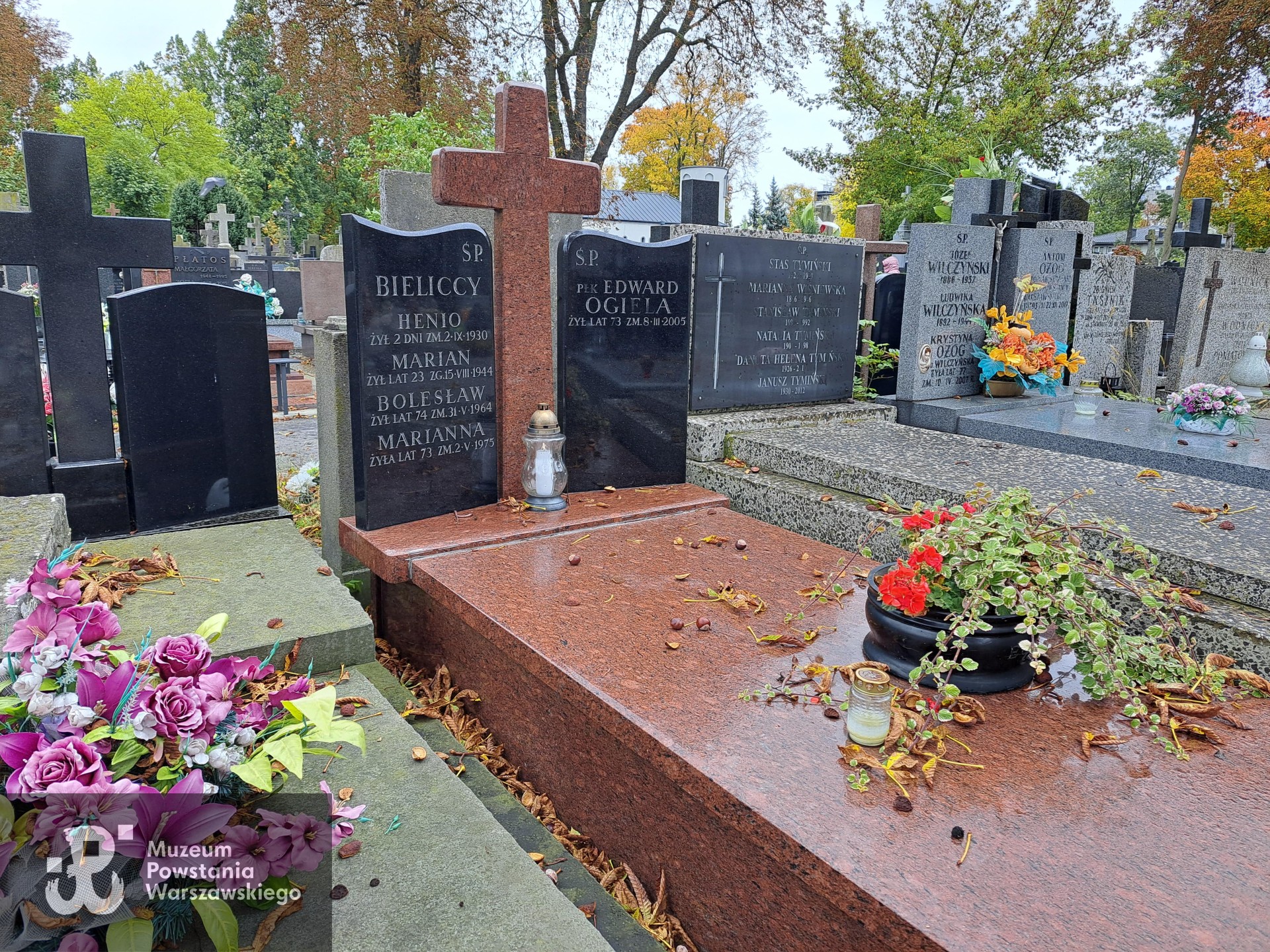Źródło: Agnieszka Nowak.