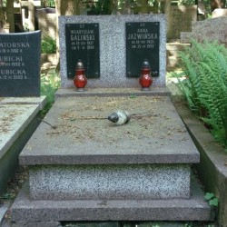 Źródło: https://cmentarze.um.warszawa.pl/pomnik.aspx?pom_id=61810 [dostęp: 5.02.2026].
