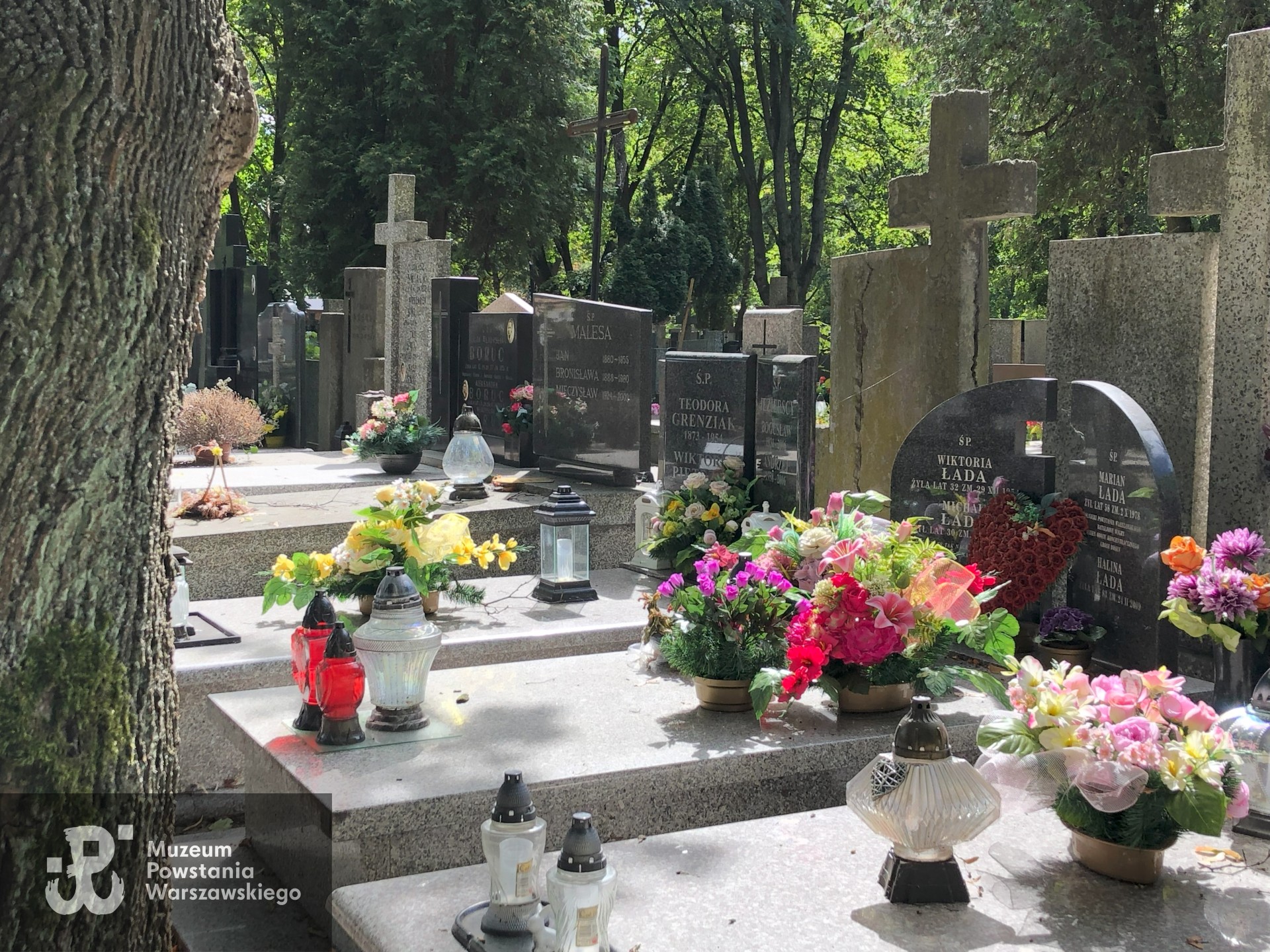 Źródło: Dorota Kotowska.