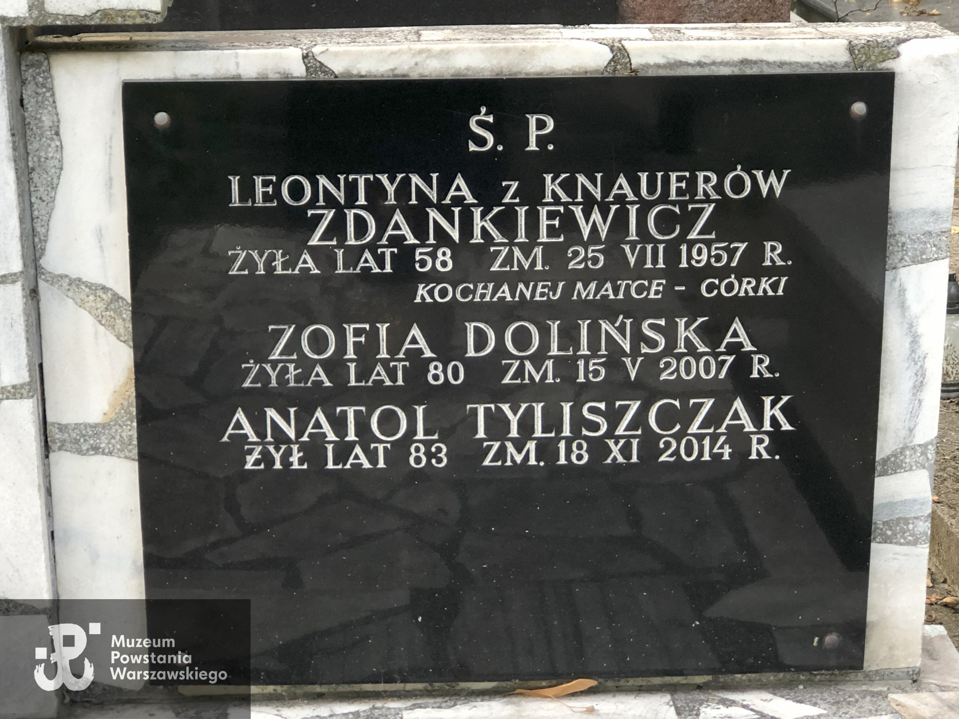 Źródło: Dorota Kotowska.