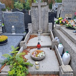 Źródło: Agnieszka Nowak.