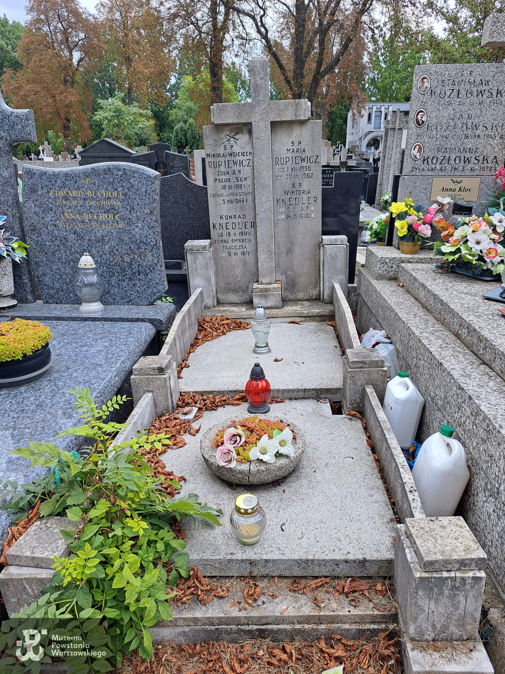 Źródło: Agnieszka Nowak.