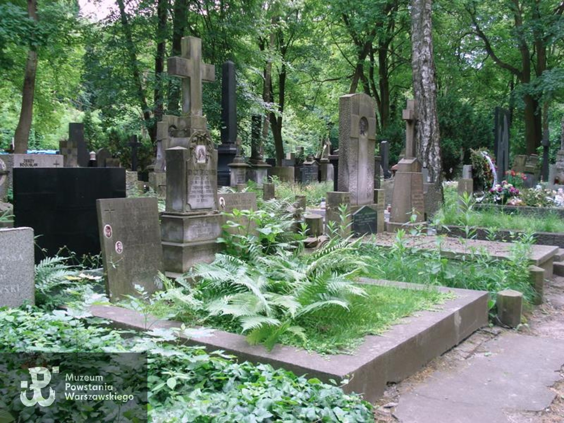 Źródło: https://cmentarze.um.warszawa.pl/pomnik.aspx?pom_id=34233 [dostęp: 20.10.2025].