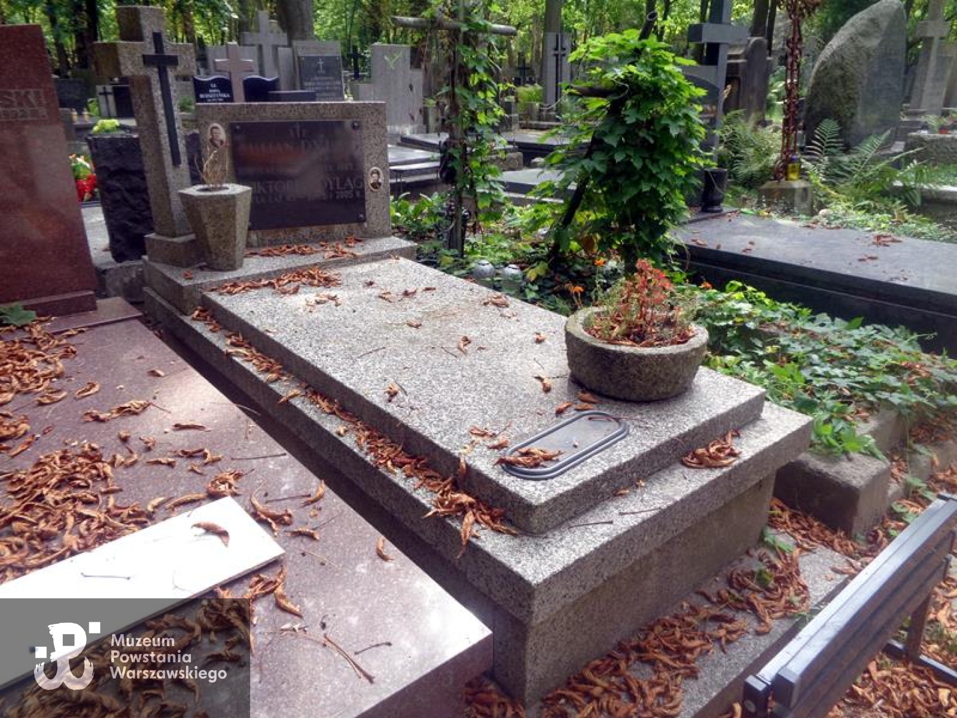 Źródło: https://cmentarze.um.warszawa.pl/pomnik.aspx?pom_id=53880 [dostęp: 16.01.2026].