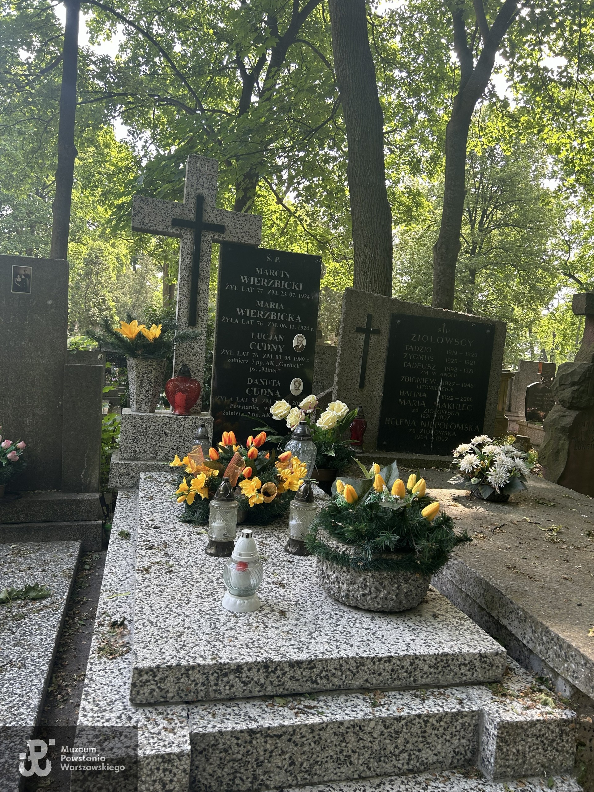 Źródło: VIII Liceum Ogólnokształcące im. Władysława IV w Warszawie.
