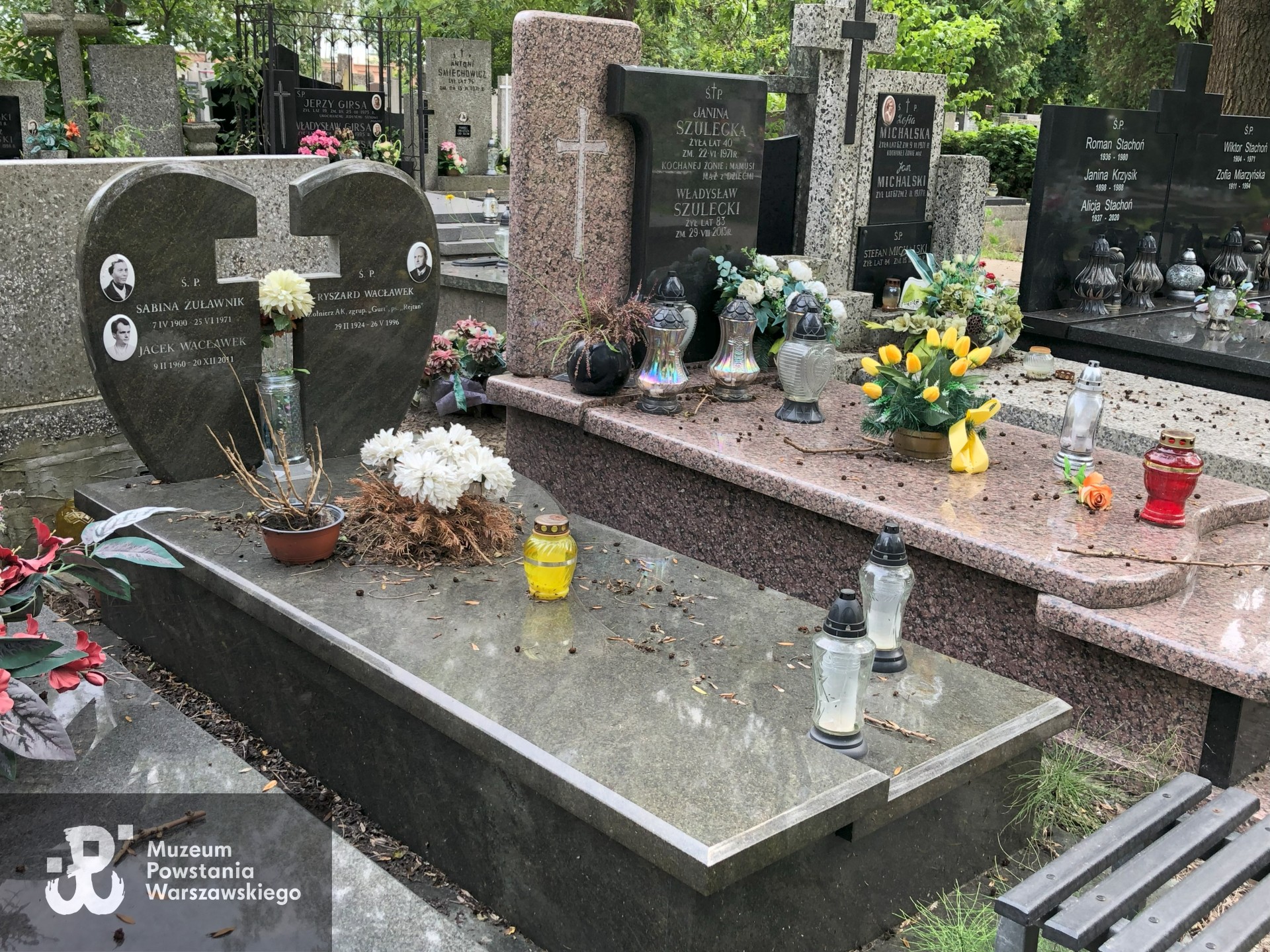 Źródło: Dorota Kotowska.