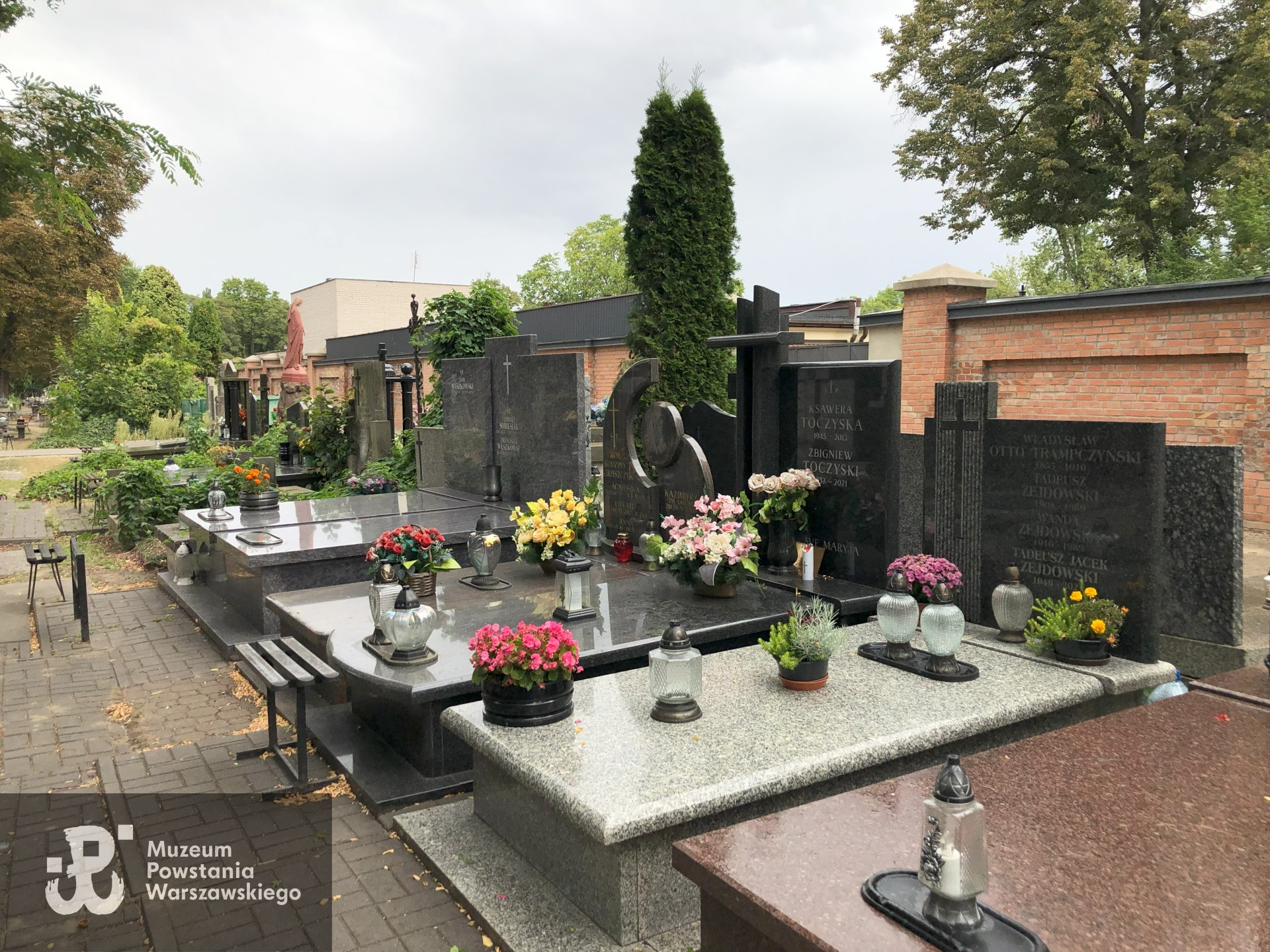 Źródło: Dorota Kotowska.