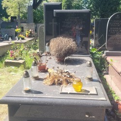 Źródło: VIII Liceum Ogólnokształcące im. Władysława IV w Warszawie.
