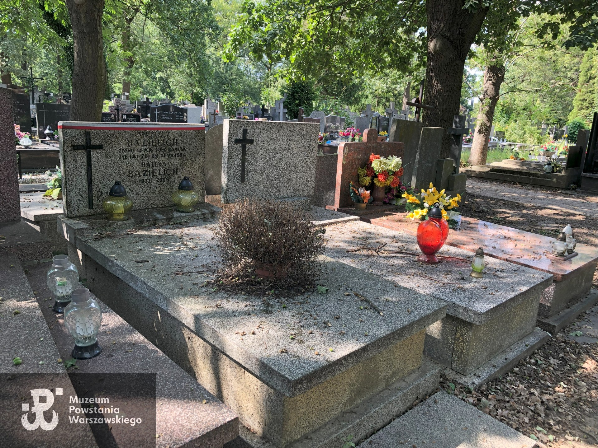 Źródło: Dorota Kotowska.